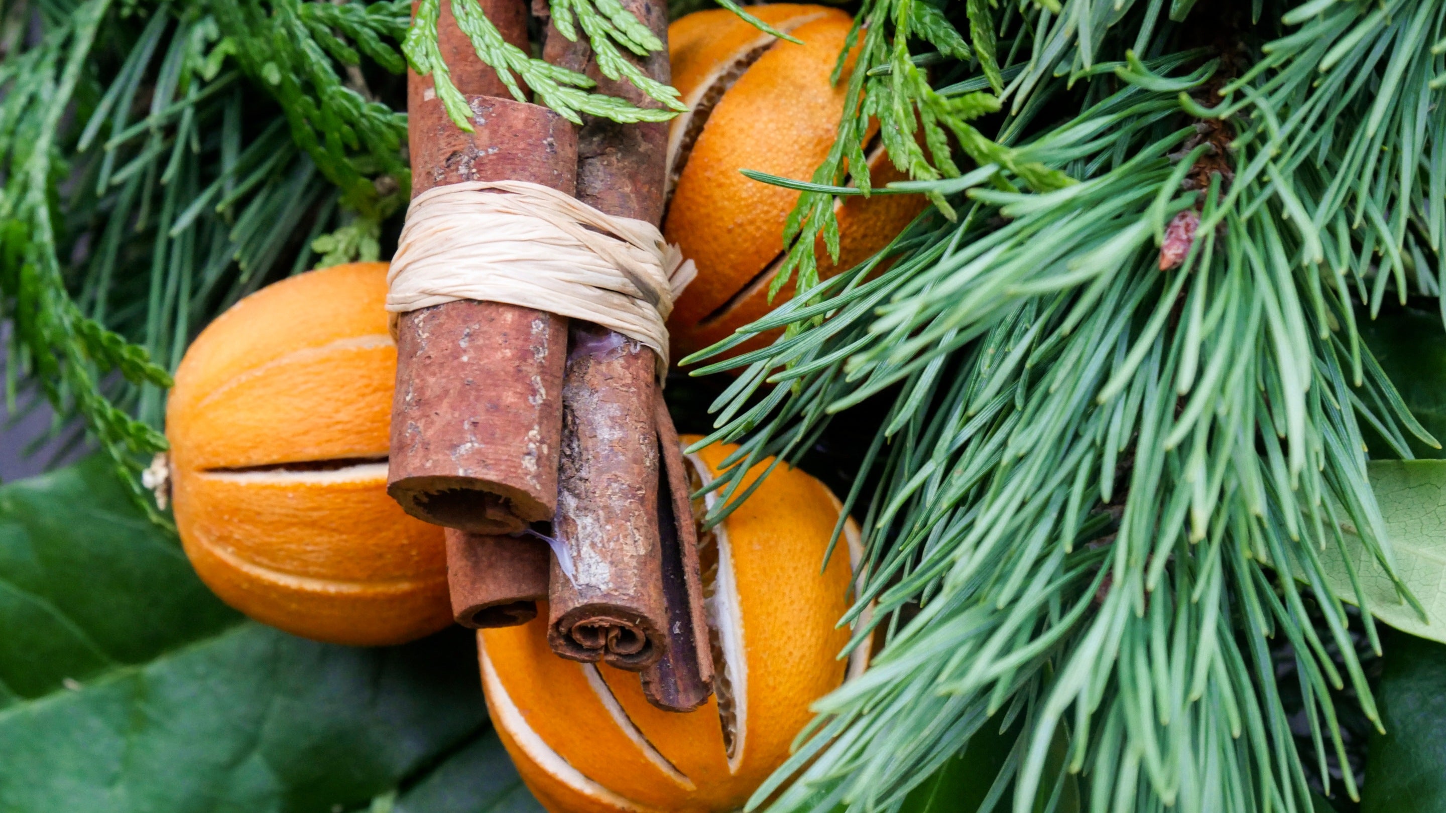 Detail of satsumas and cinnamon sticks on a Christmas wreath