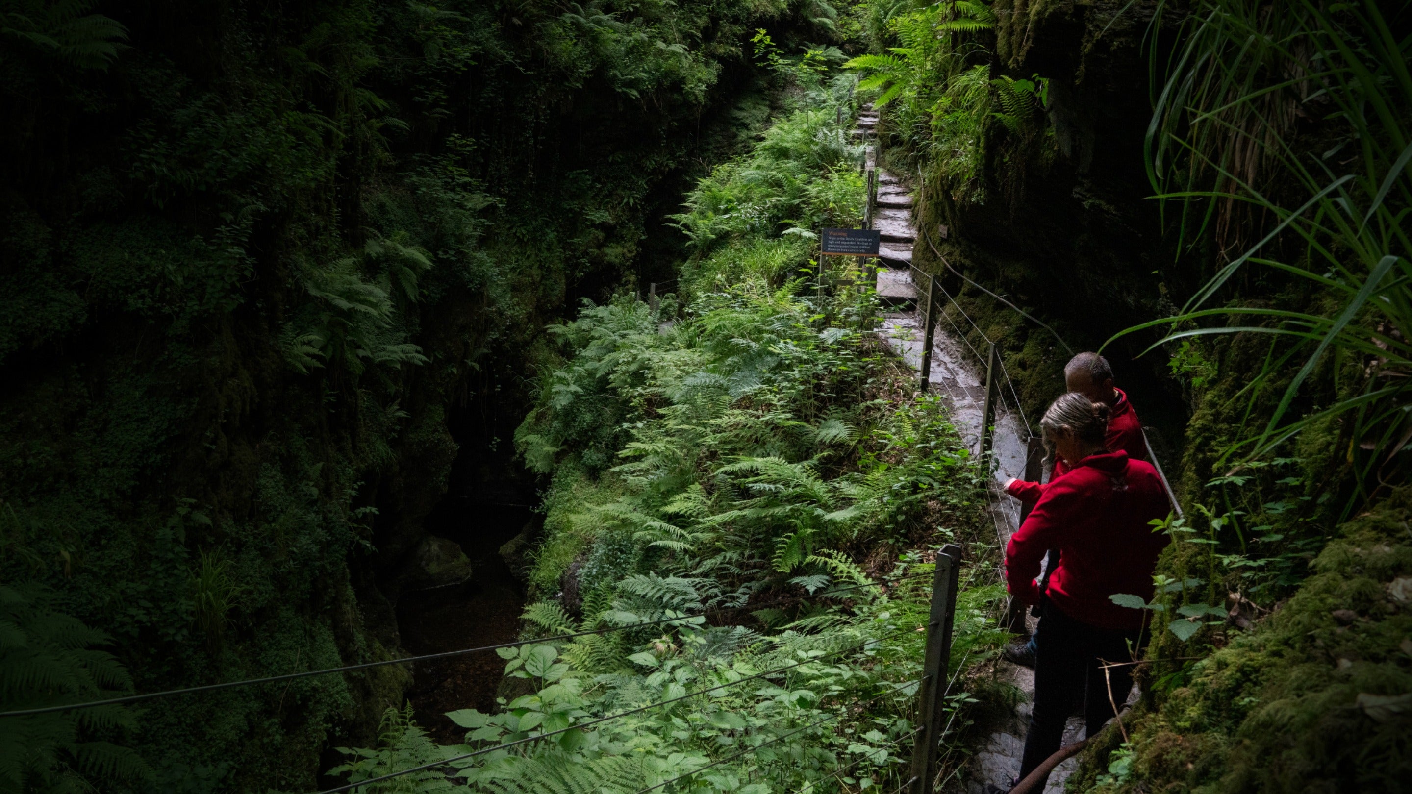 Walkers look at foliage in Lydford Gorge, Devon for the Nature equals Future campaign