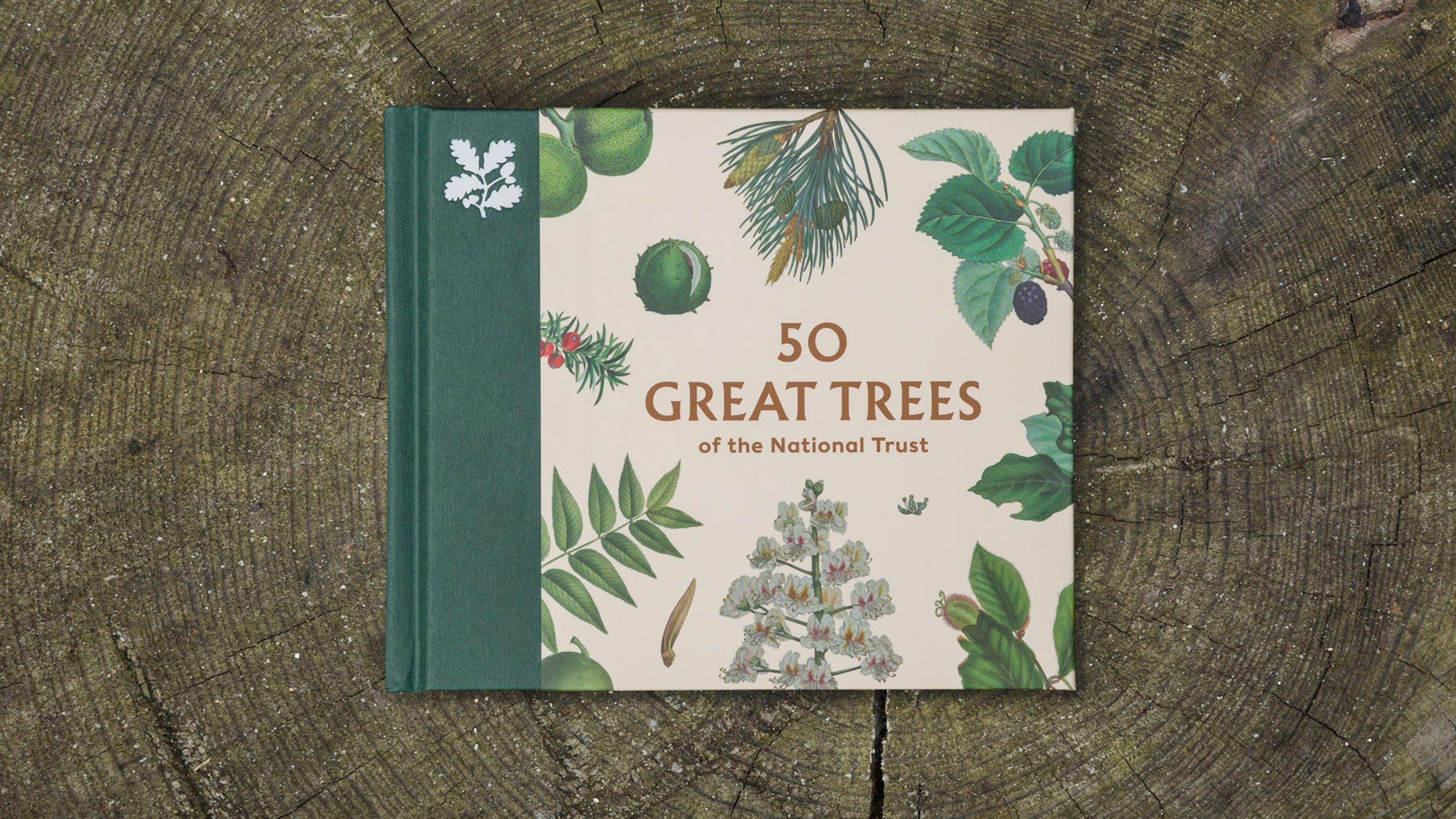 50 Great Trees of the National Trust