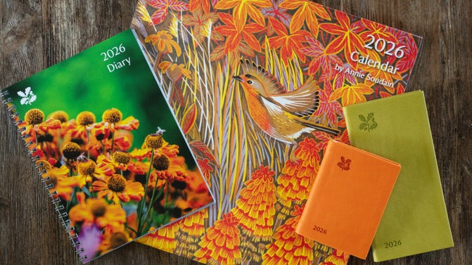 A selection of 2026 calendars and diaries
