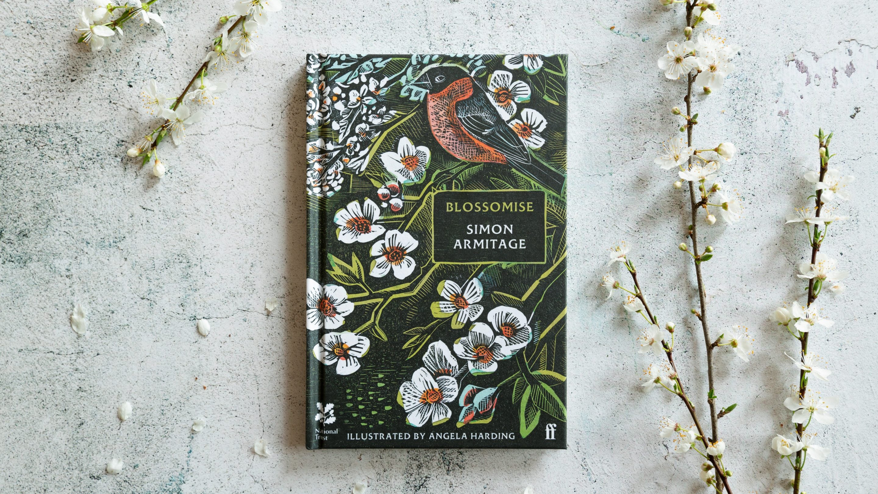 Blossomise book cover