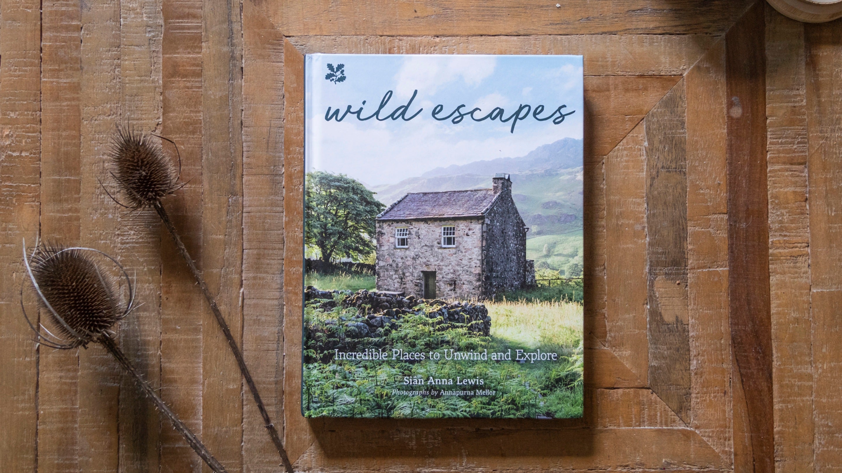 Wild Escapes by Sian Lewis