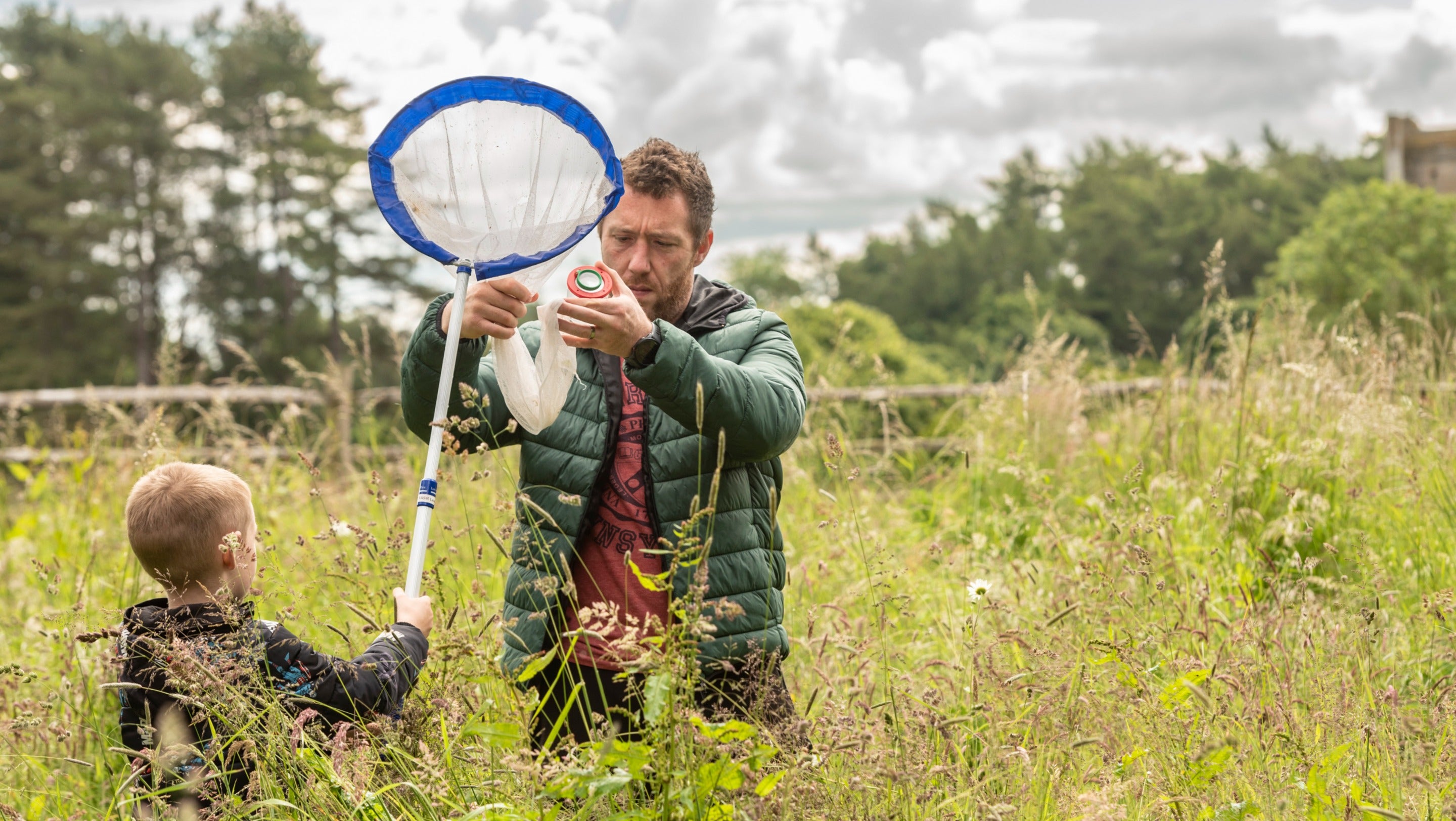 Visitors catching and identifying meadow insects at a BioBlitz biodiversity survey