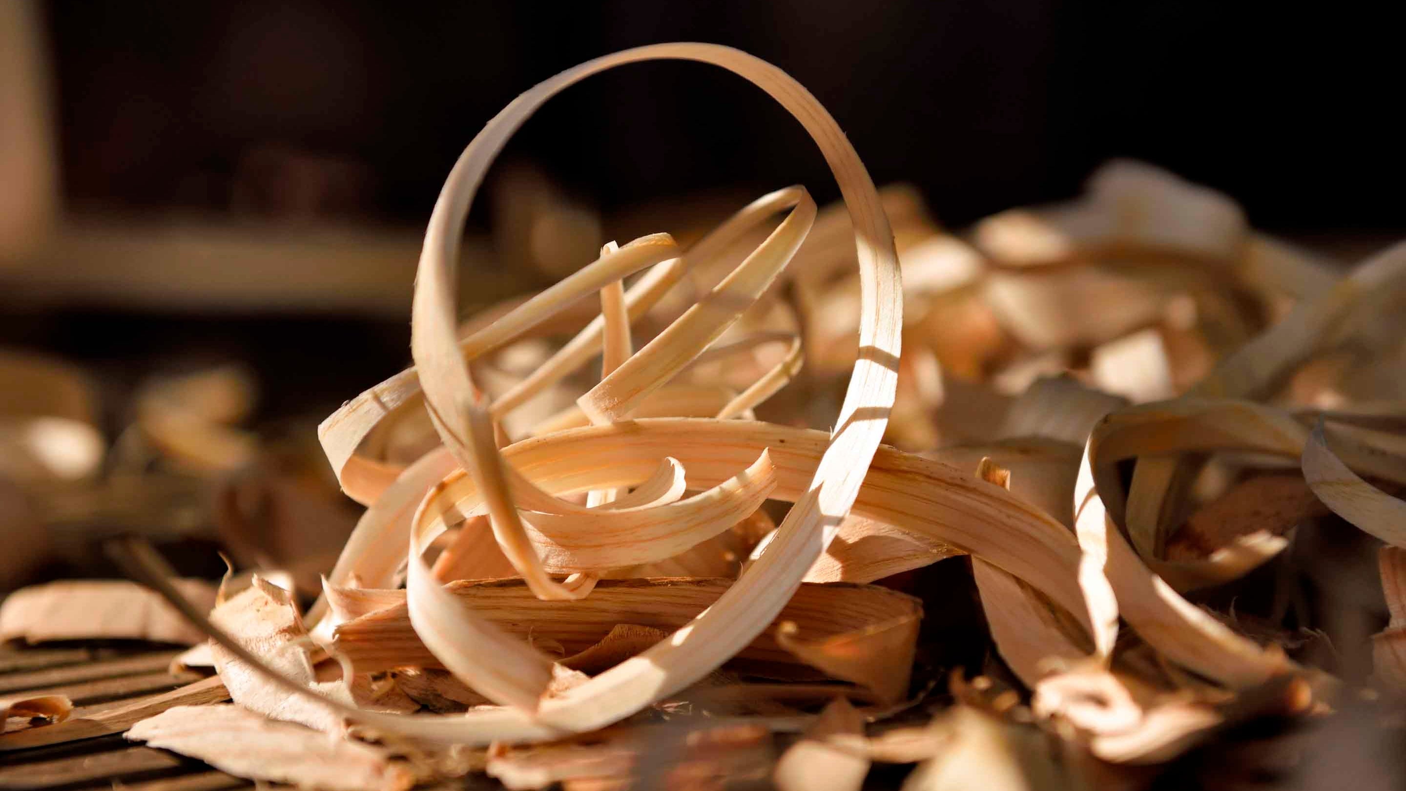 A pile of thin, curled wood shavings on the floor following some woodland activities at Footprint, Windermere, Cumbria.