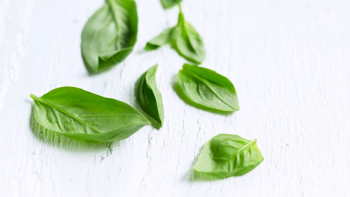 Herb pistou Recipes National Trust