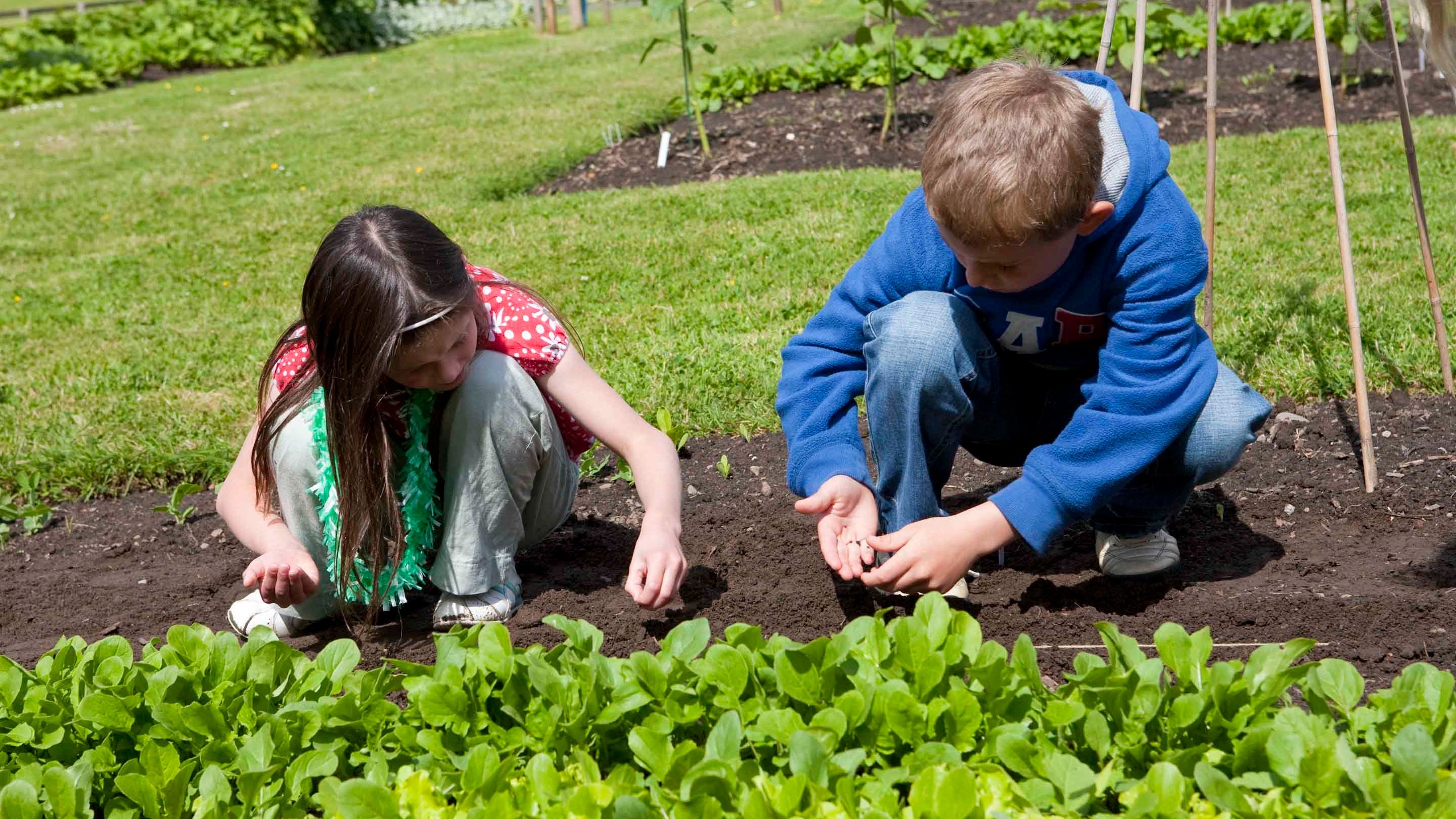 Green Fingers Project