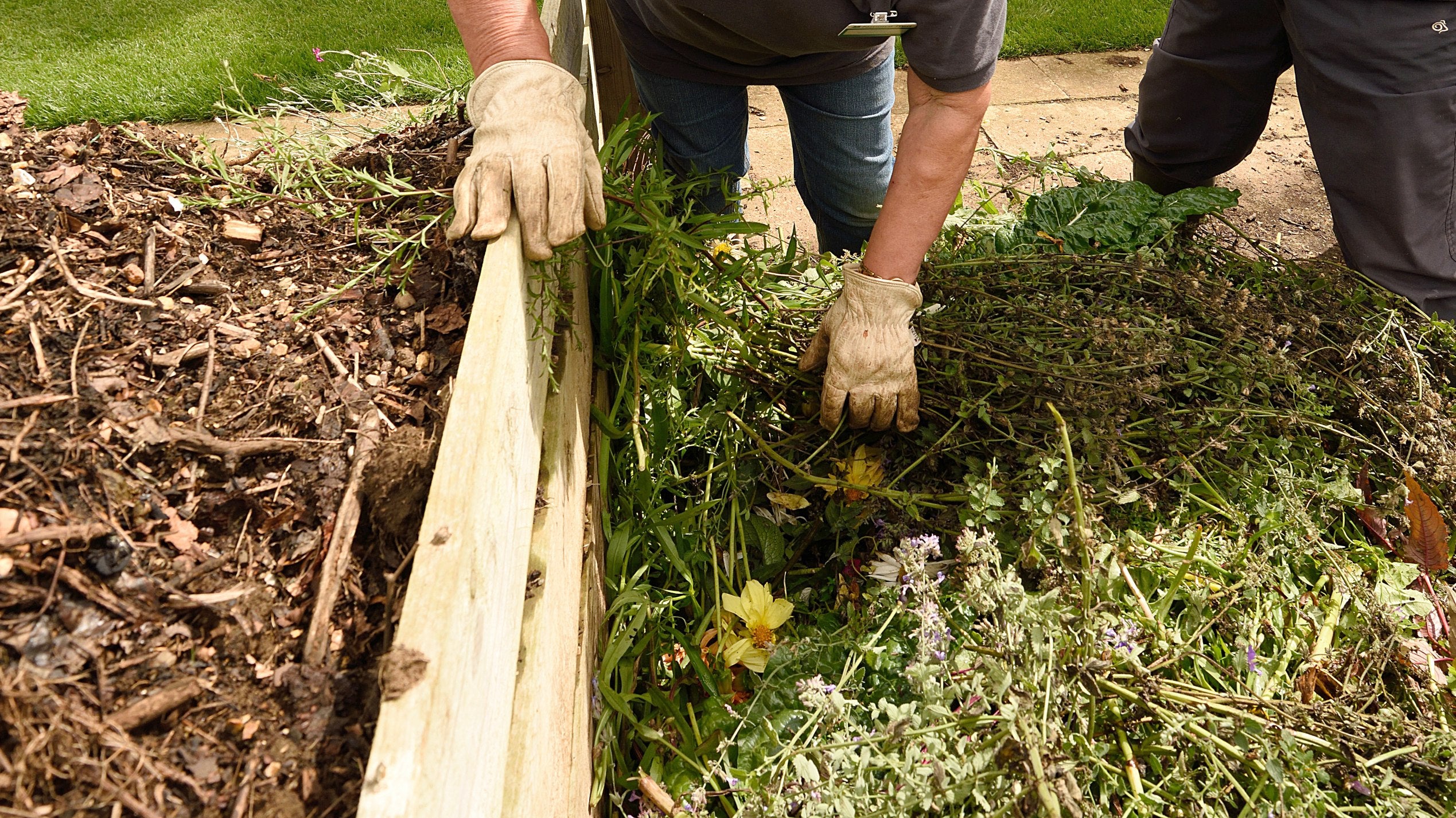 Close-up of gardening volunteer with gardening gloves in the compost heap at Mottistone Gardens, Isle of Wight.