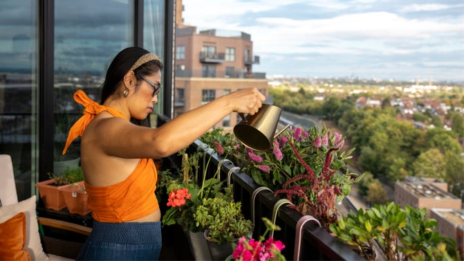 Sky Gardening Challenge 2026 runner up - Bella