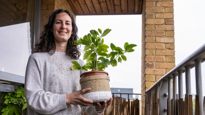 Sky Gardening Challenge 2026 runner up - Noemie
