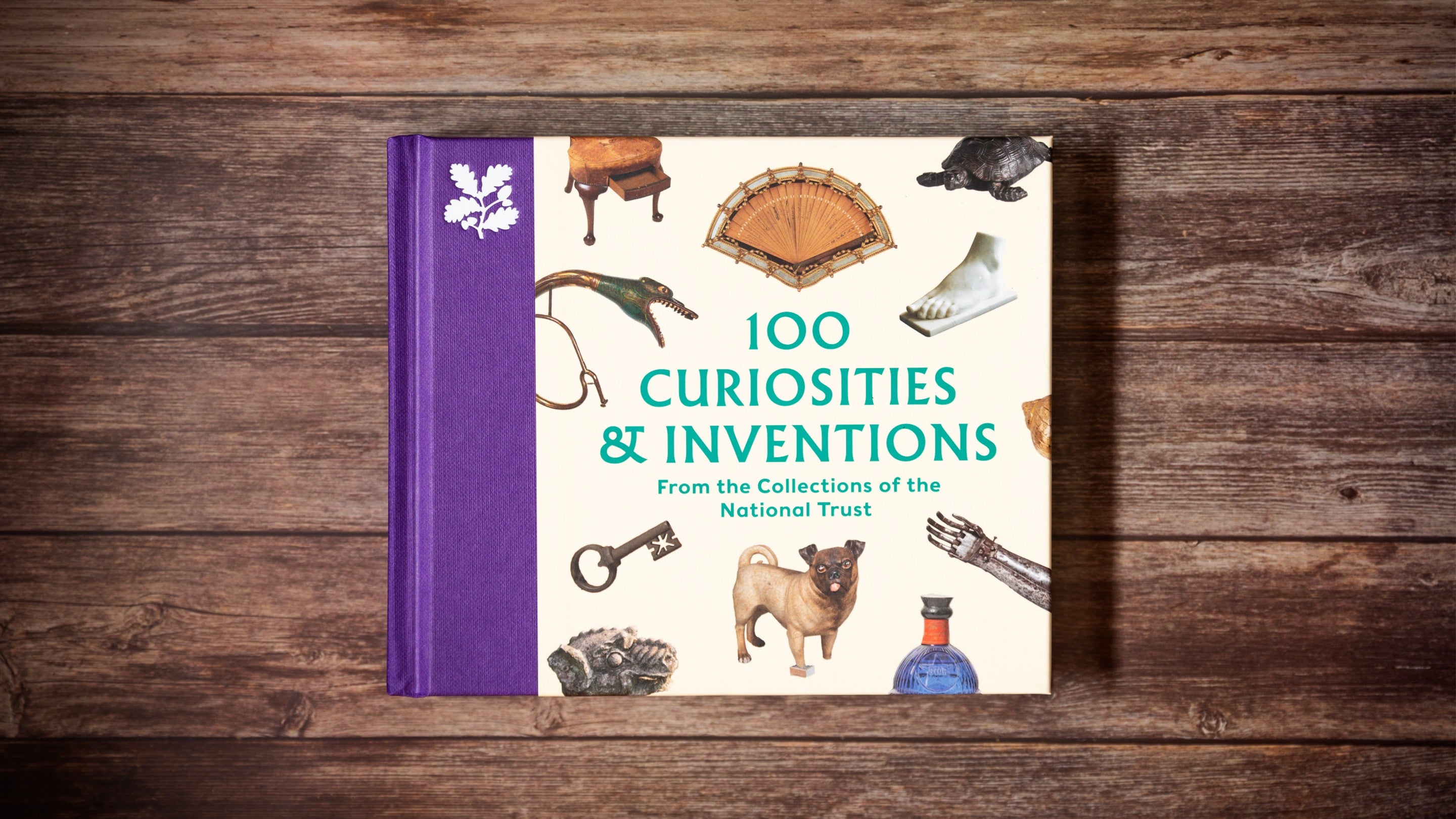 The cover of the 100 Curiosities and Inventions book