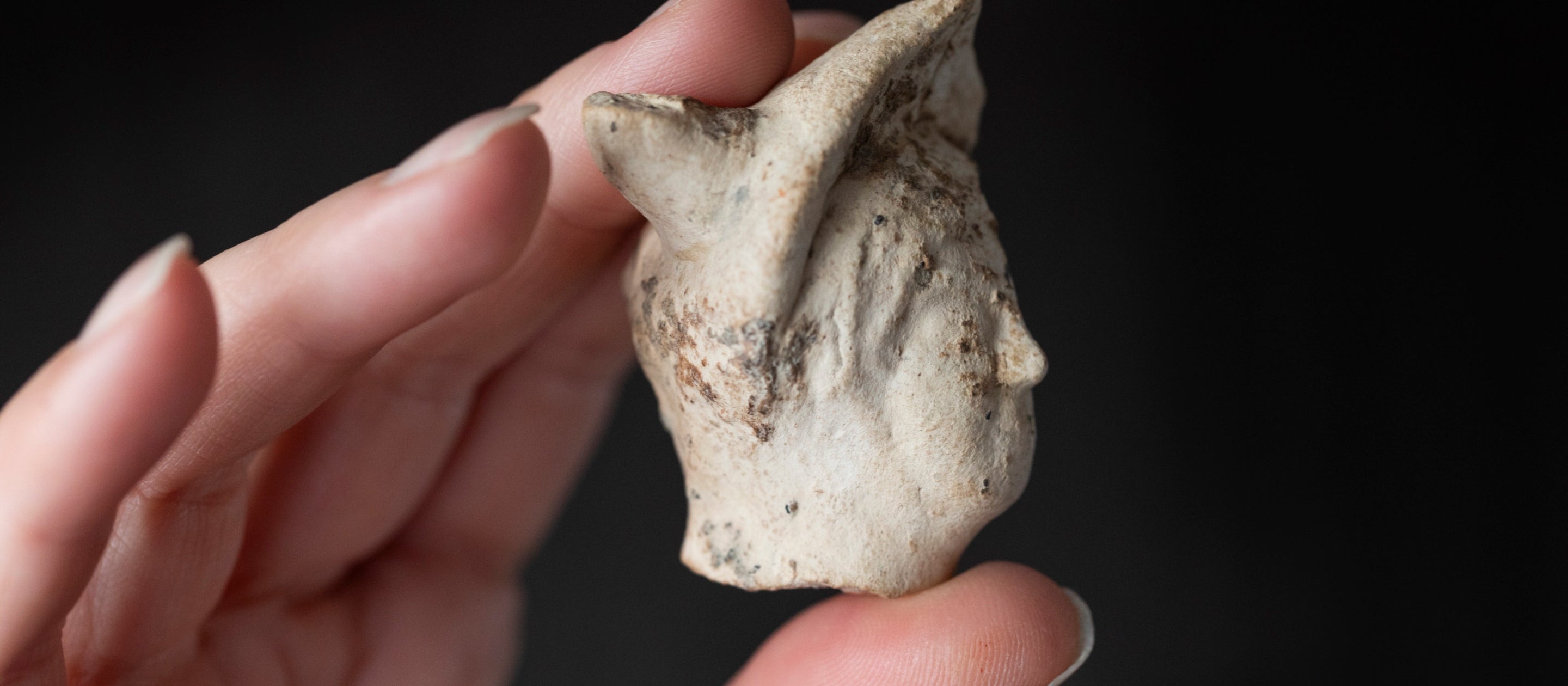 Archaeological artifacts