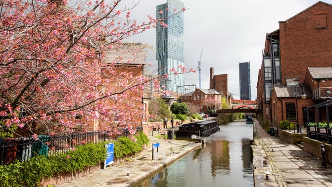 Blossom in Manchester
