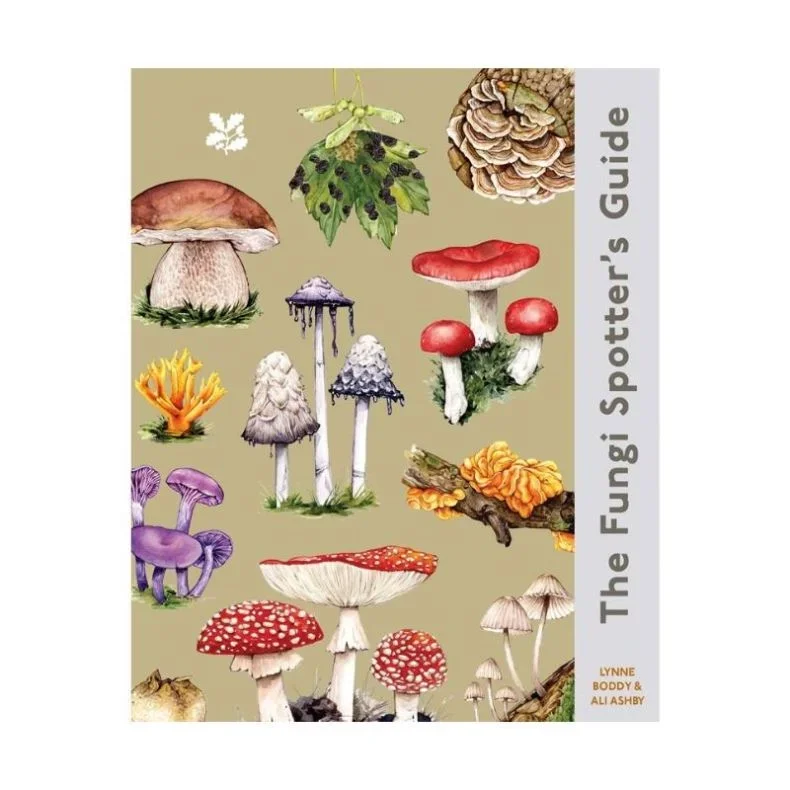 Book cover of The Fungi Spotter's Guide featuring illustrations of various fungi species.
