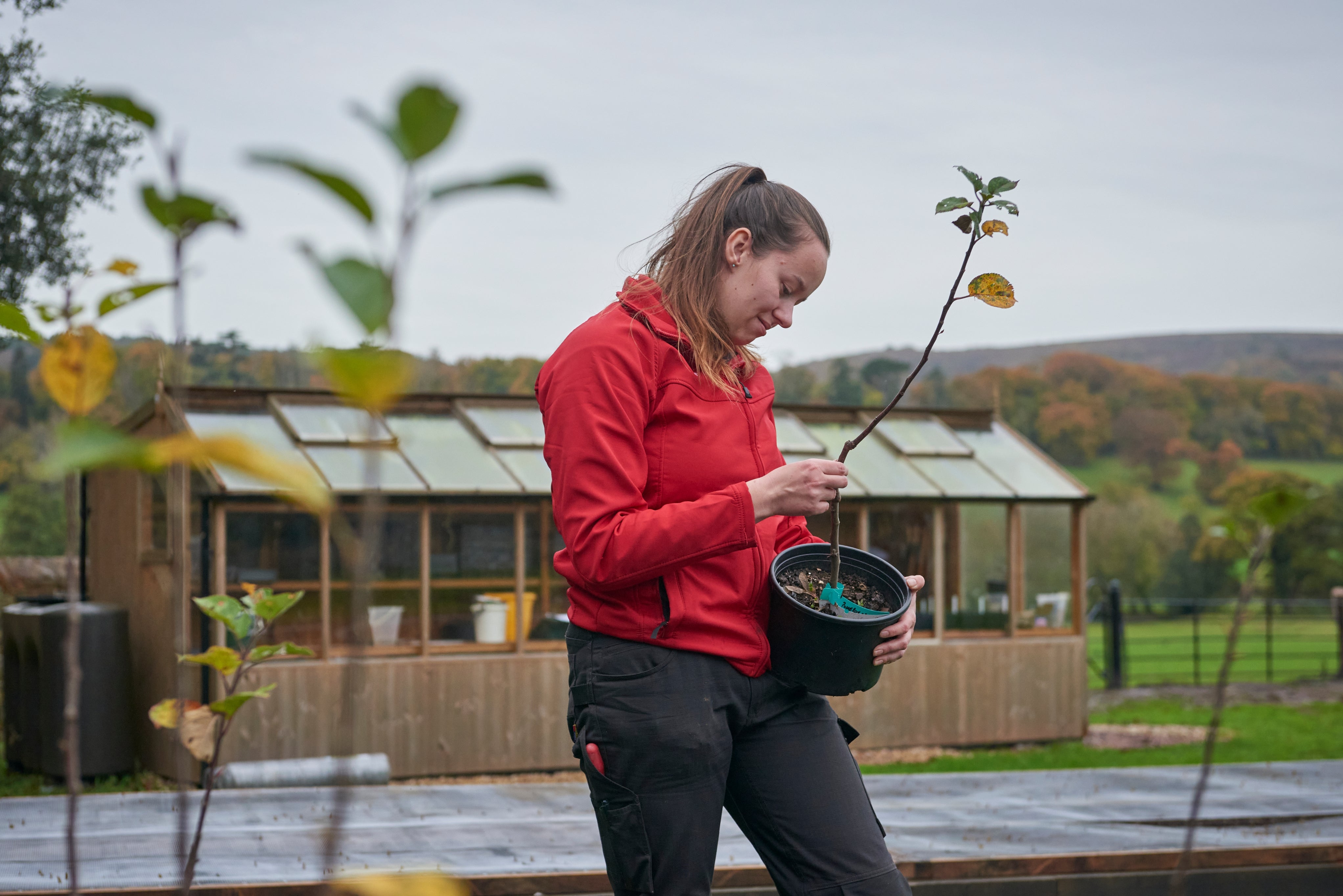 Zoe Hill inspecting a young tree in a plant nursery with a greenhouse in the background.