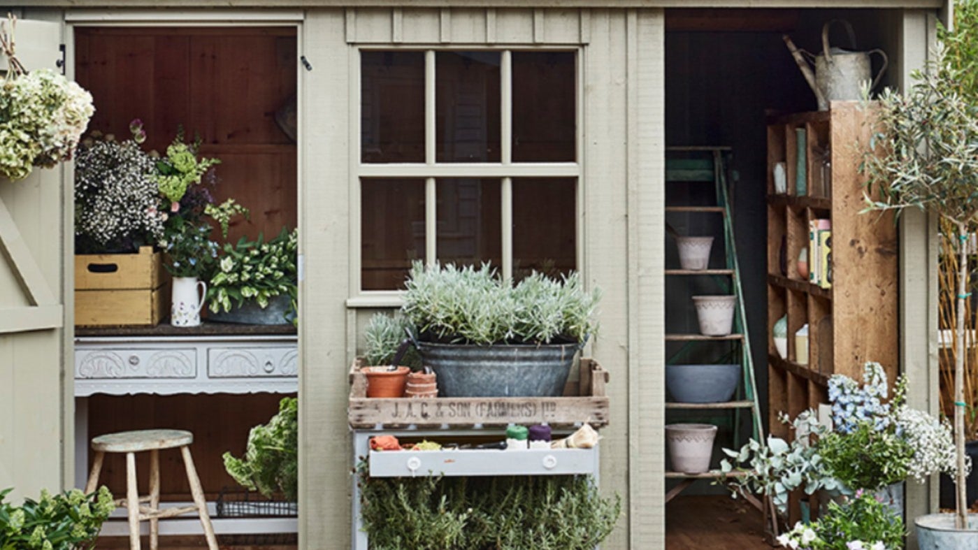 View from outside of pale green shed surrounded by potted plants