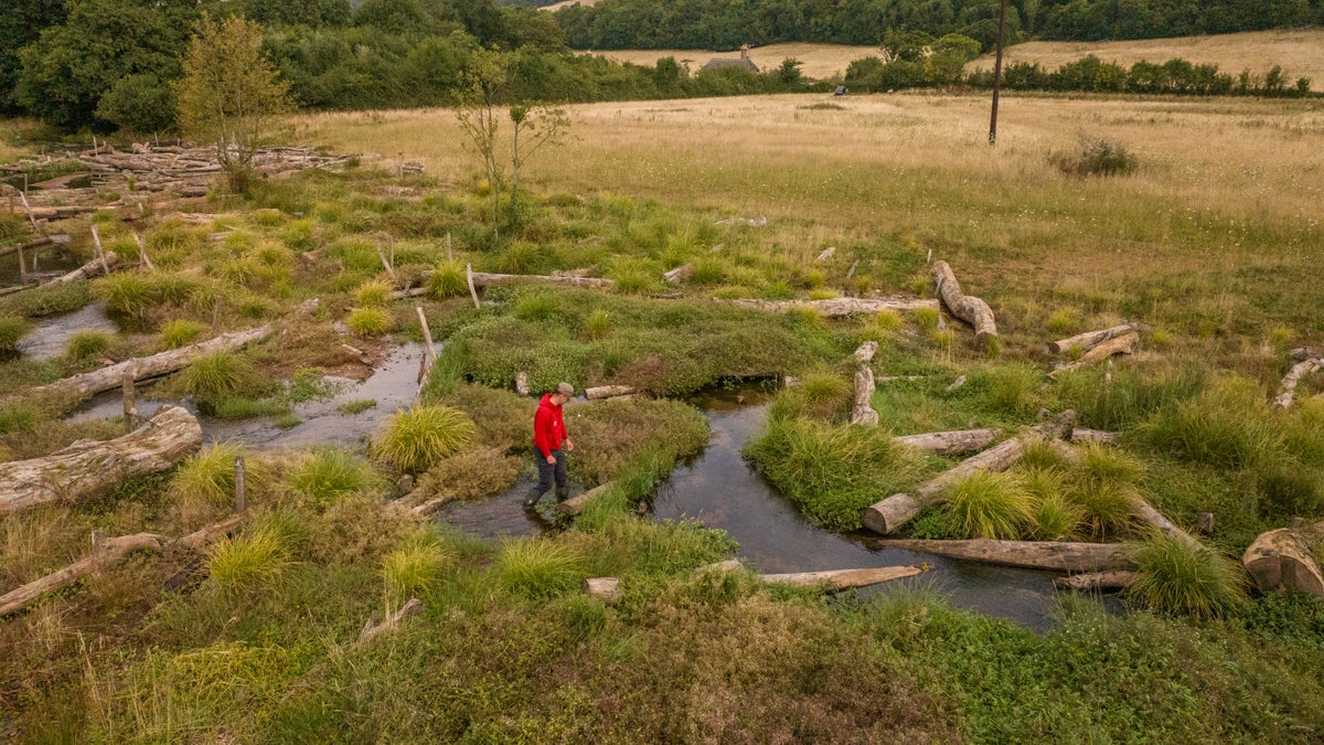 Press Release Media National Trust
