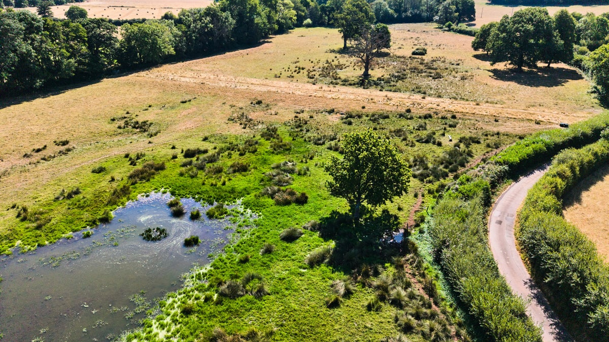 Aerial view of restored wetlands at Holnicote in Somerset