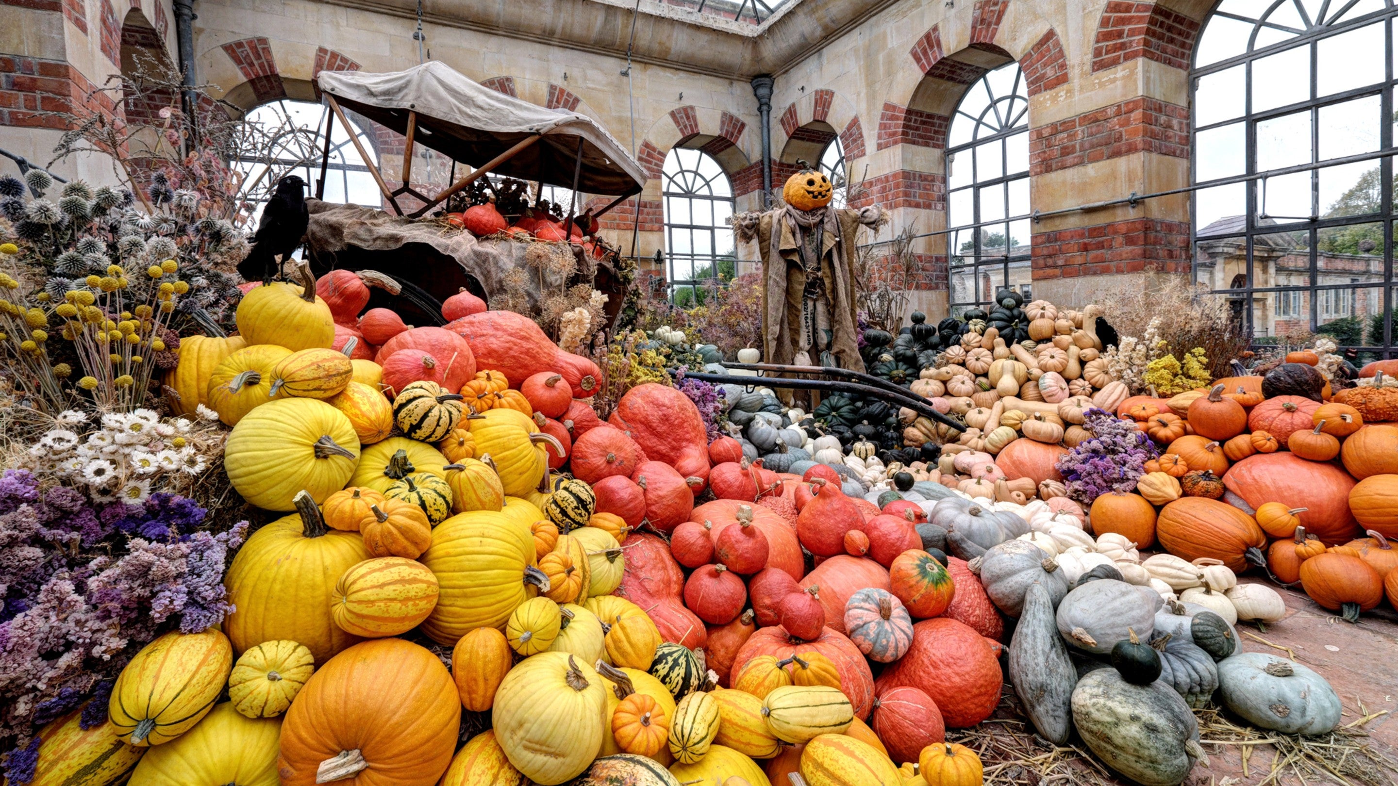 Showstopping pumpkins at Tyntesfield