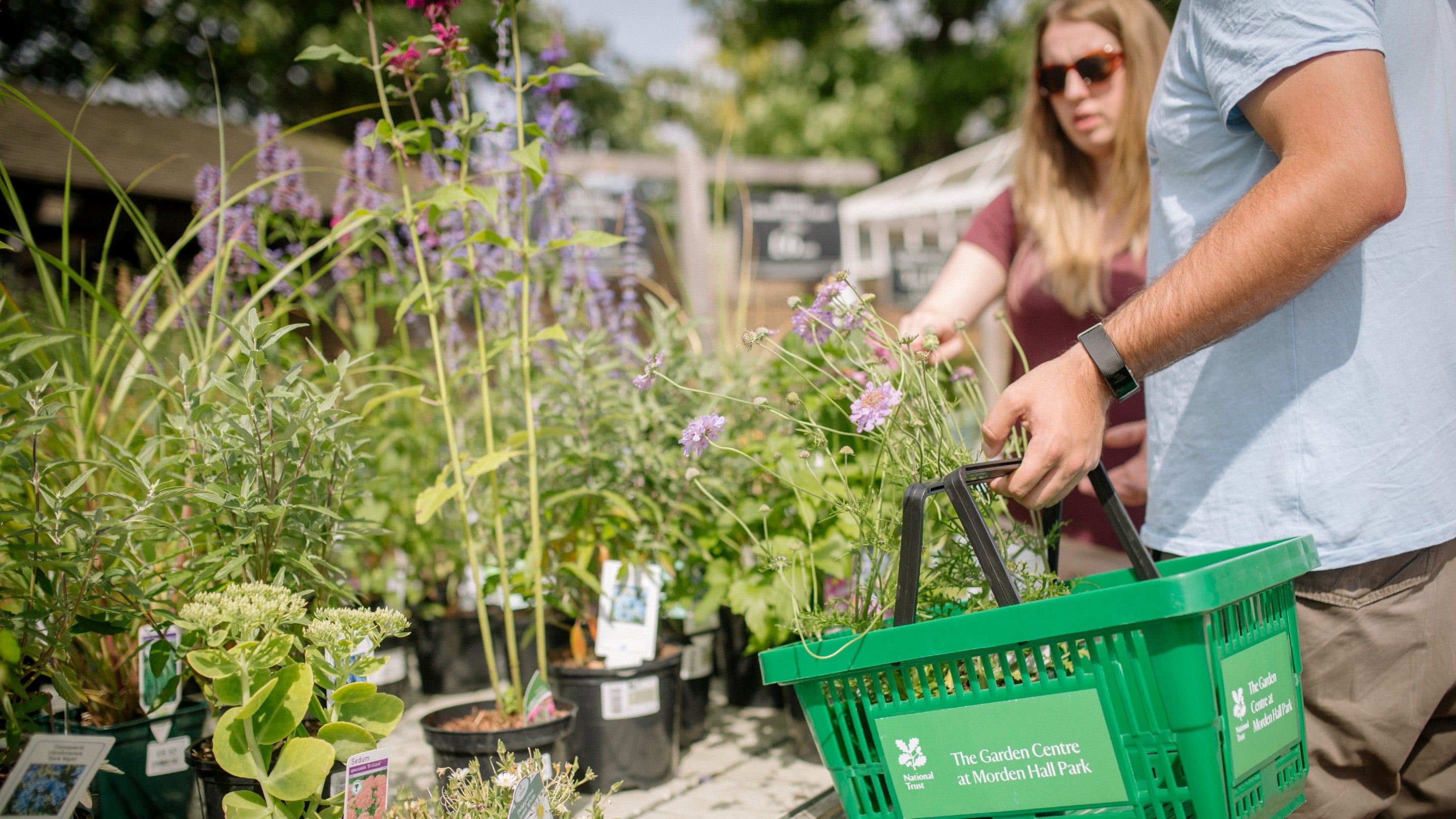 Buying plants at Morden Hall Garden Centre