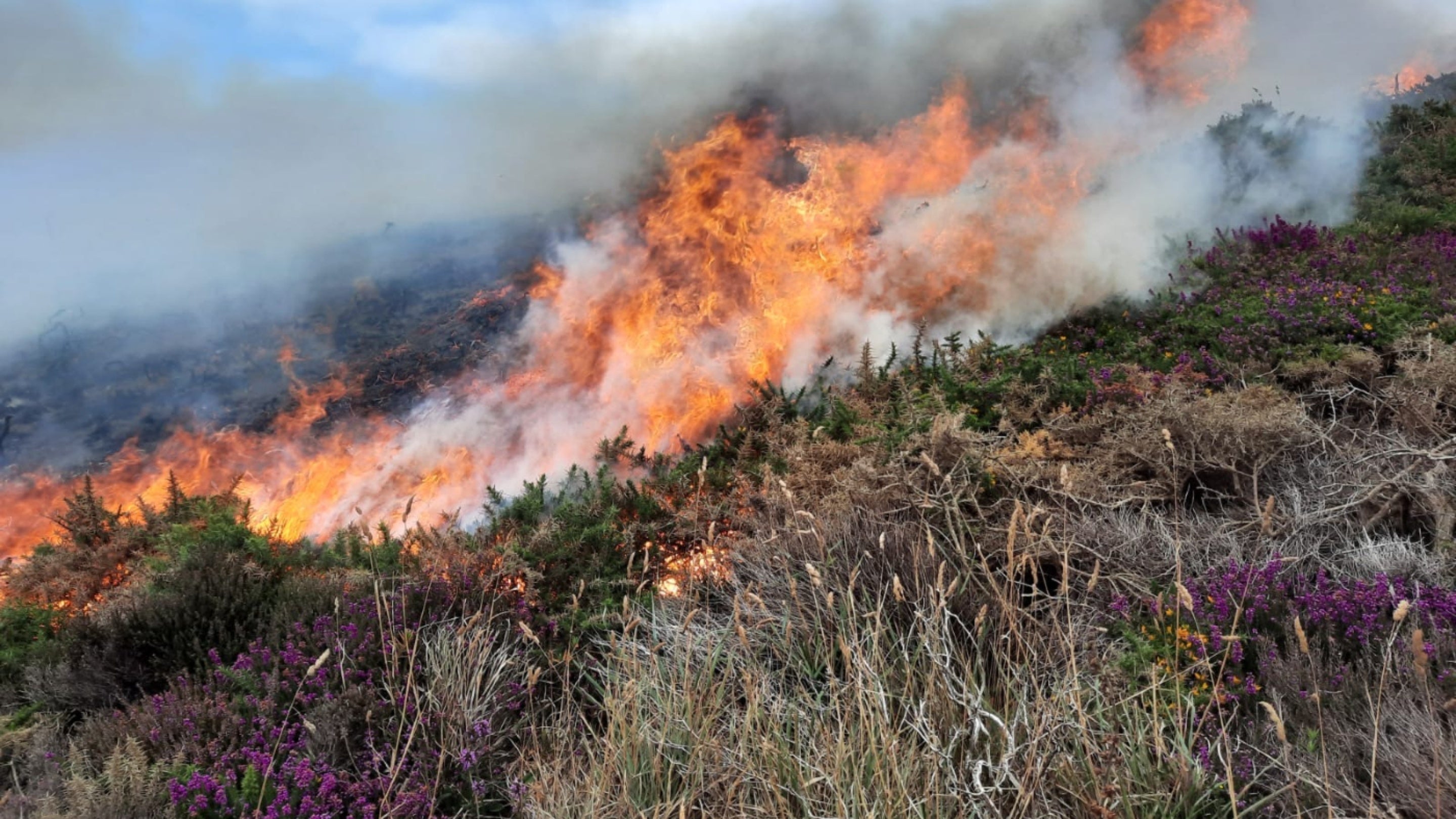 A fire at Zennor Head in Cornwall