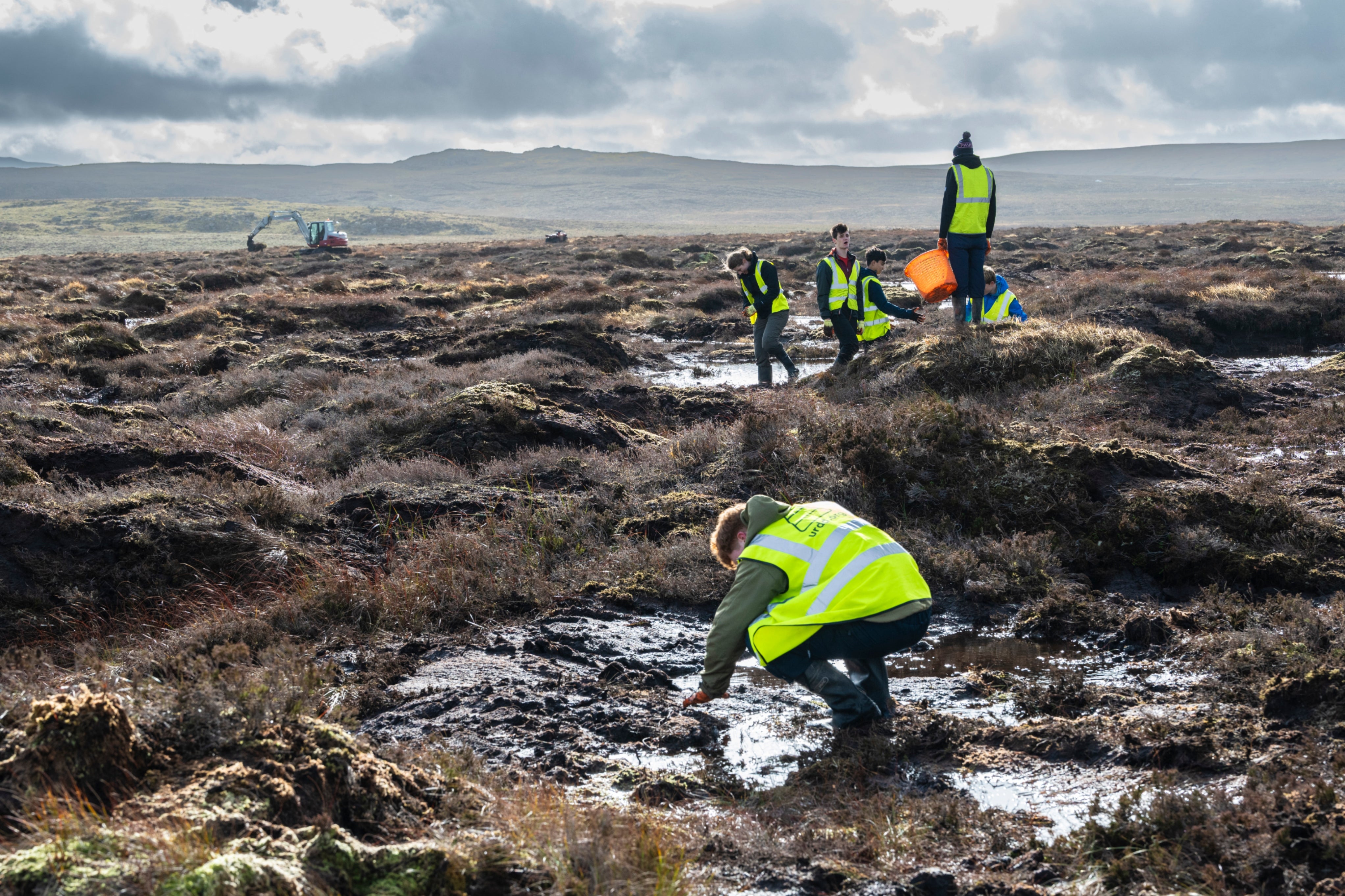 Peatland restoration in Eryri