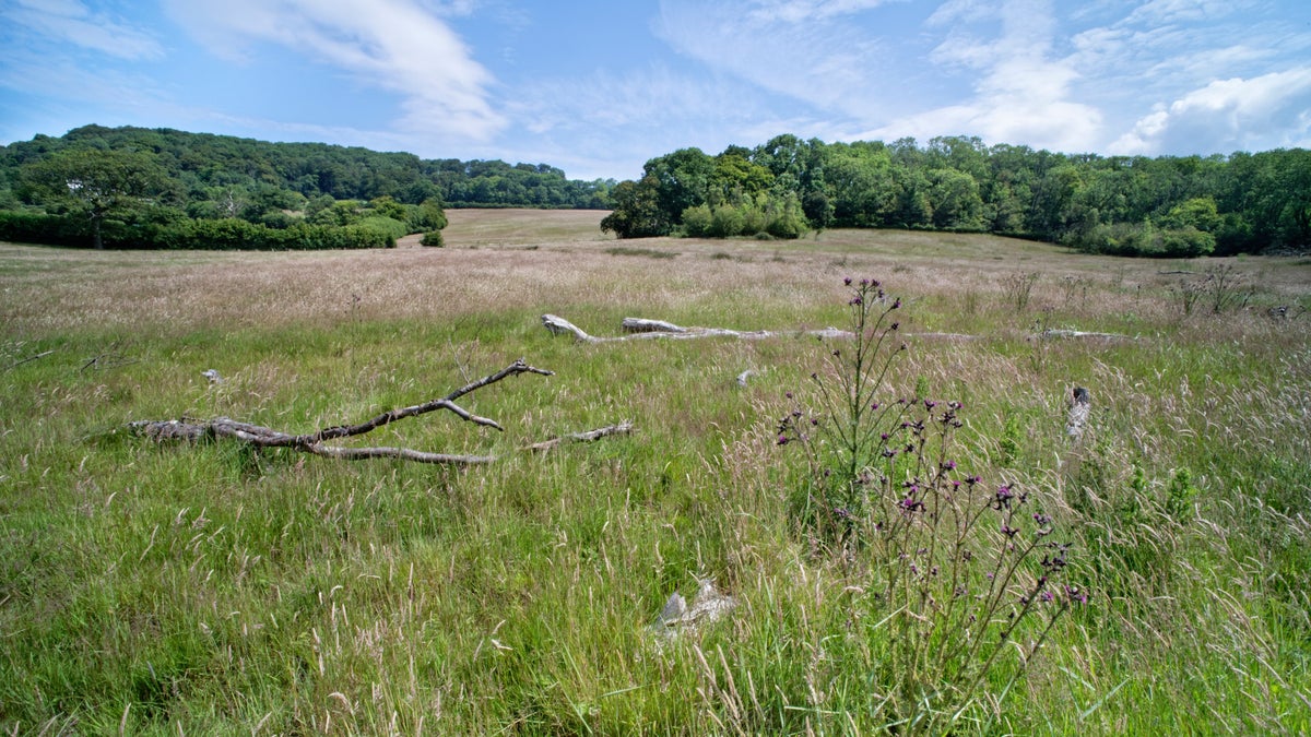 Riverlands project at Porlock Vale National Trust