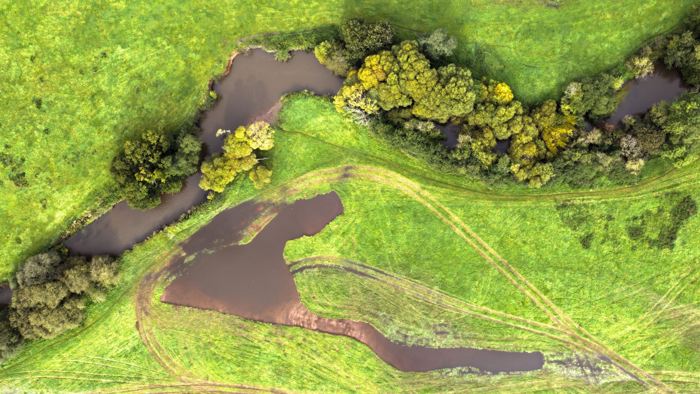 River Culm at Blackdown Hills Area of Outstanding Natural Beauty in Devon