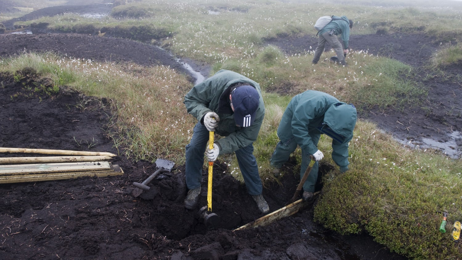 Two men digging a drainage ditch on the side of a hill in wet weather, with another person digging in the background