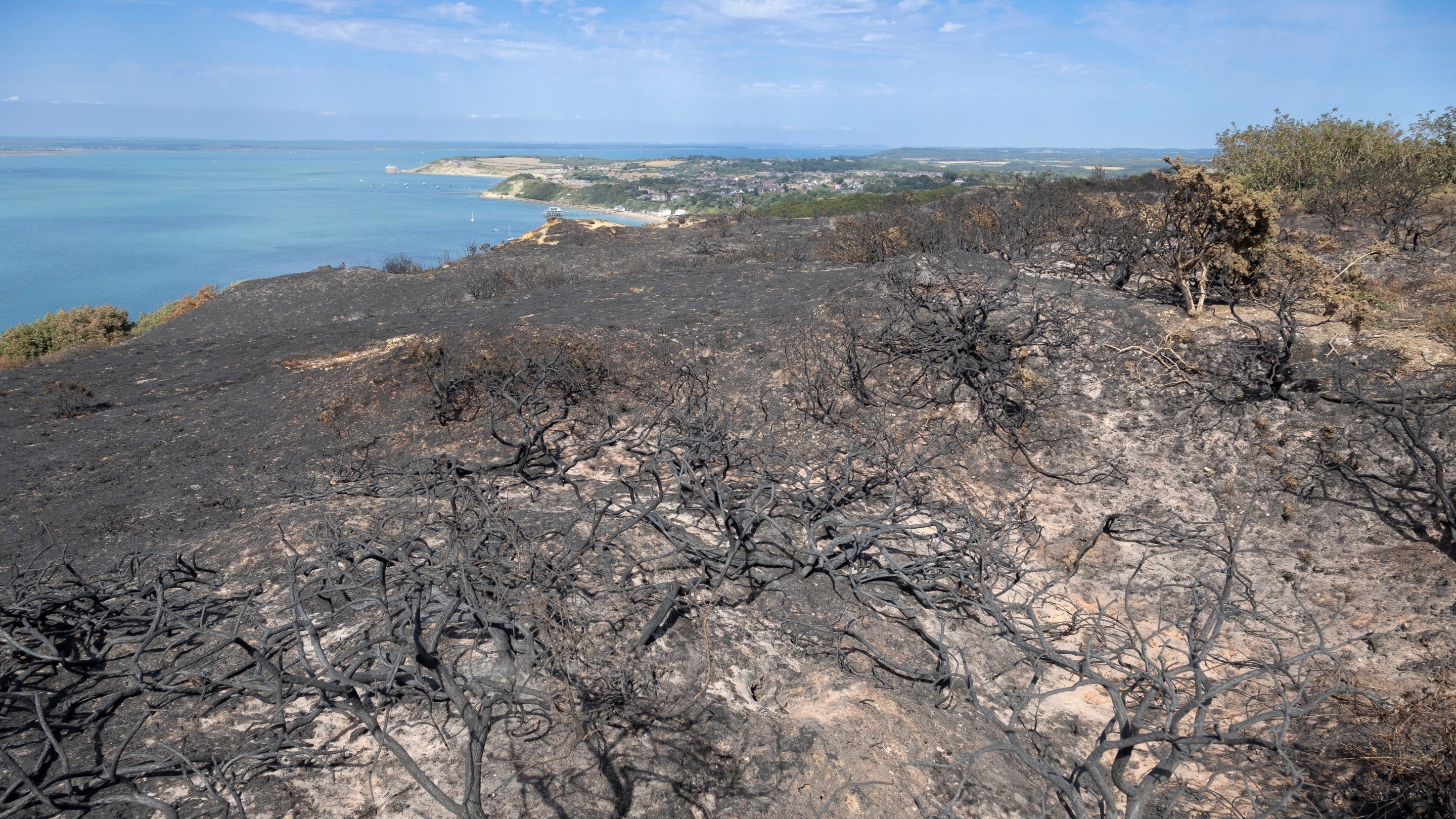 Burnt and barren land shows damage to heathland at Headon Warren in the Isle of Wight
