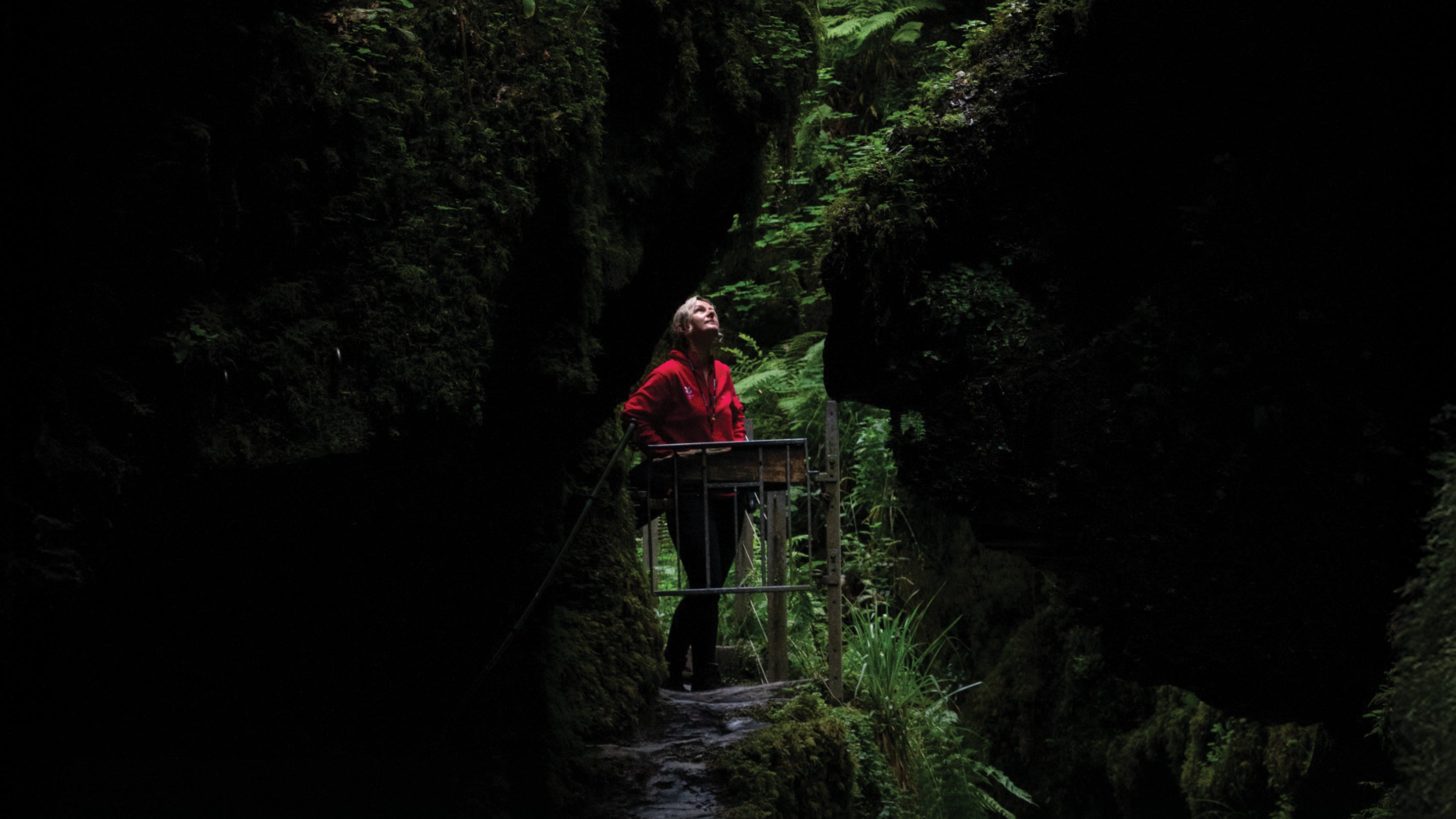 A woman looks up at foliage in Lydford Gorge, Devon, for the Nature equals Future campaign