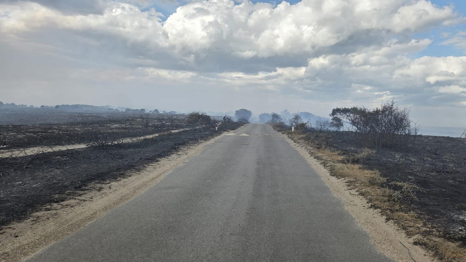 The damage caused by the Dunwich Heath fire in July 2026