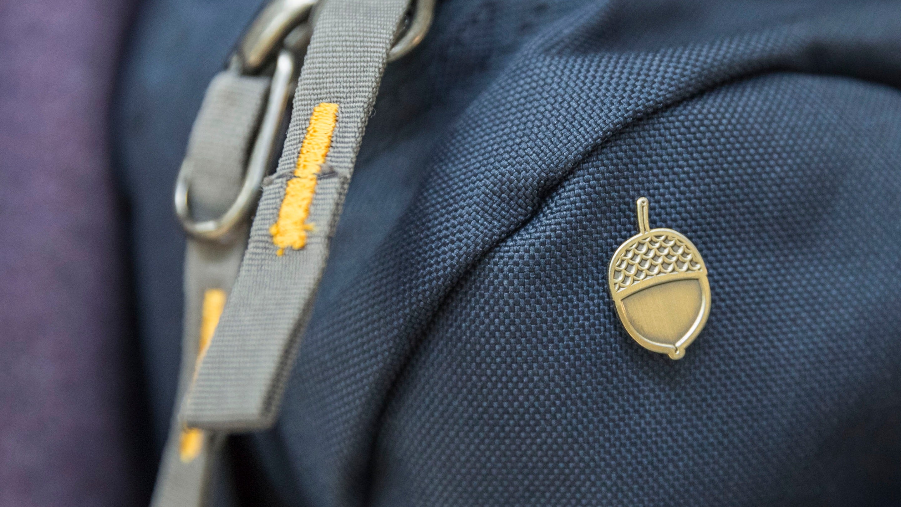 Donate to Adopt a Plot and receive a special pin badge