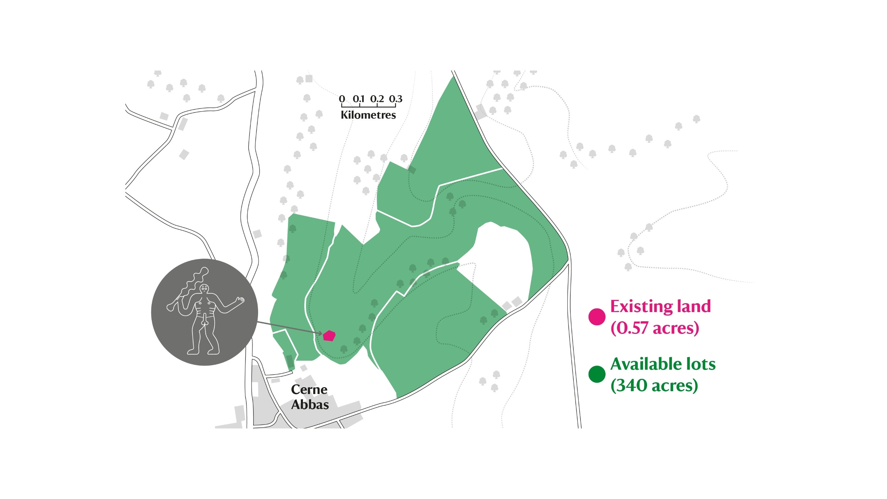 Map of Cerne Abbas displaying existing and available lots