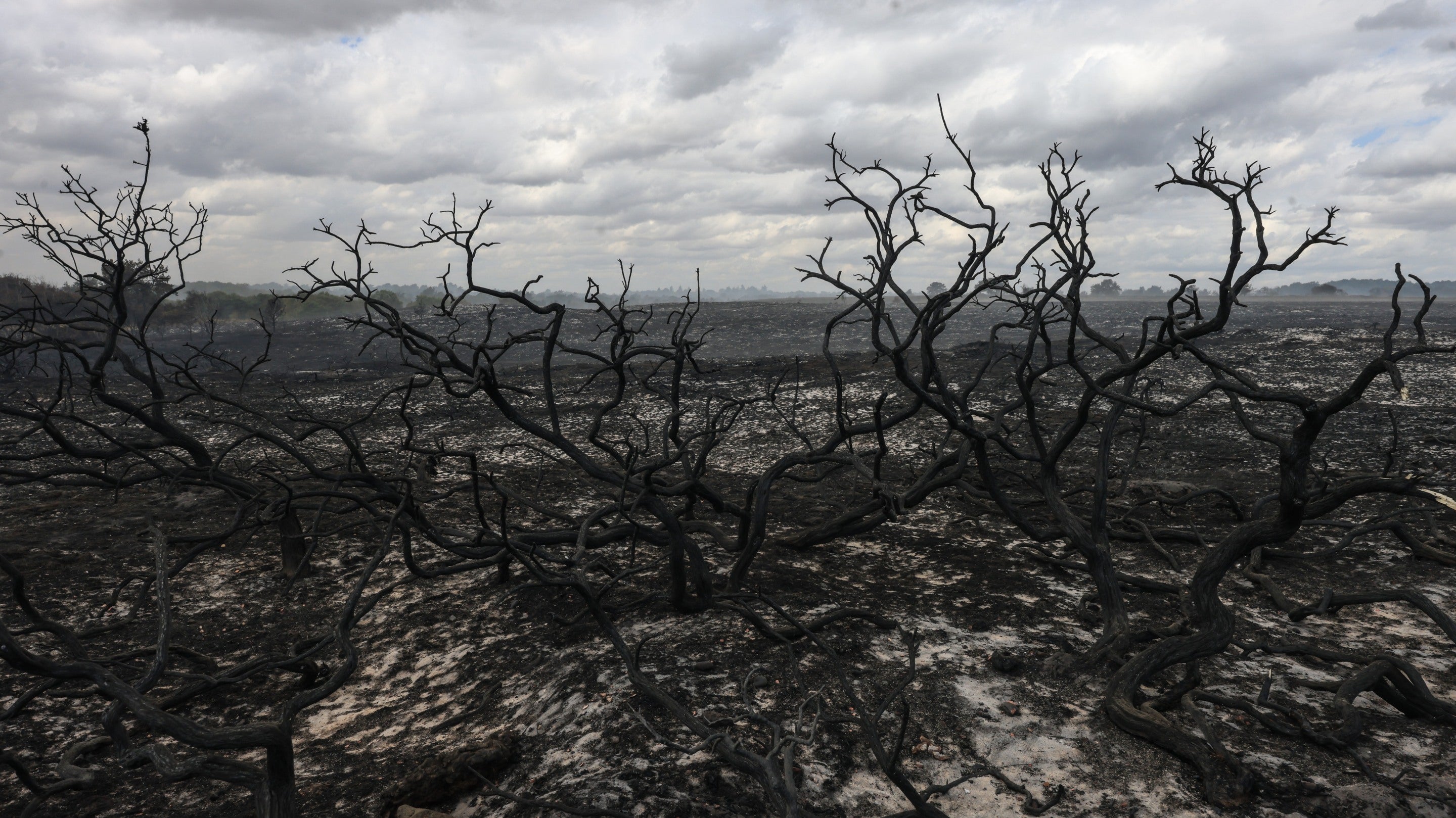 Fire damage at Dunwich Heath, Suffolk, in July 2026