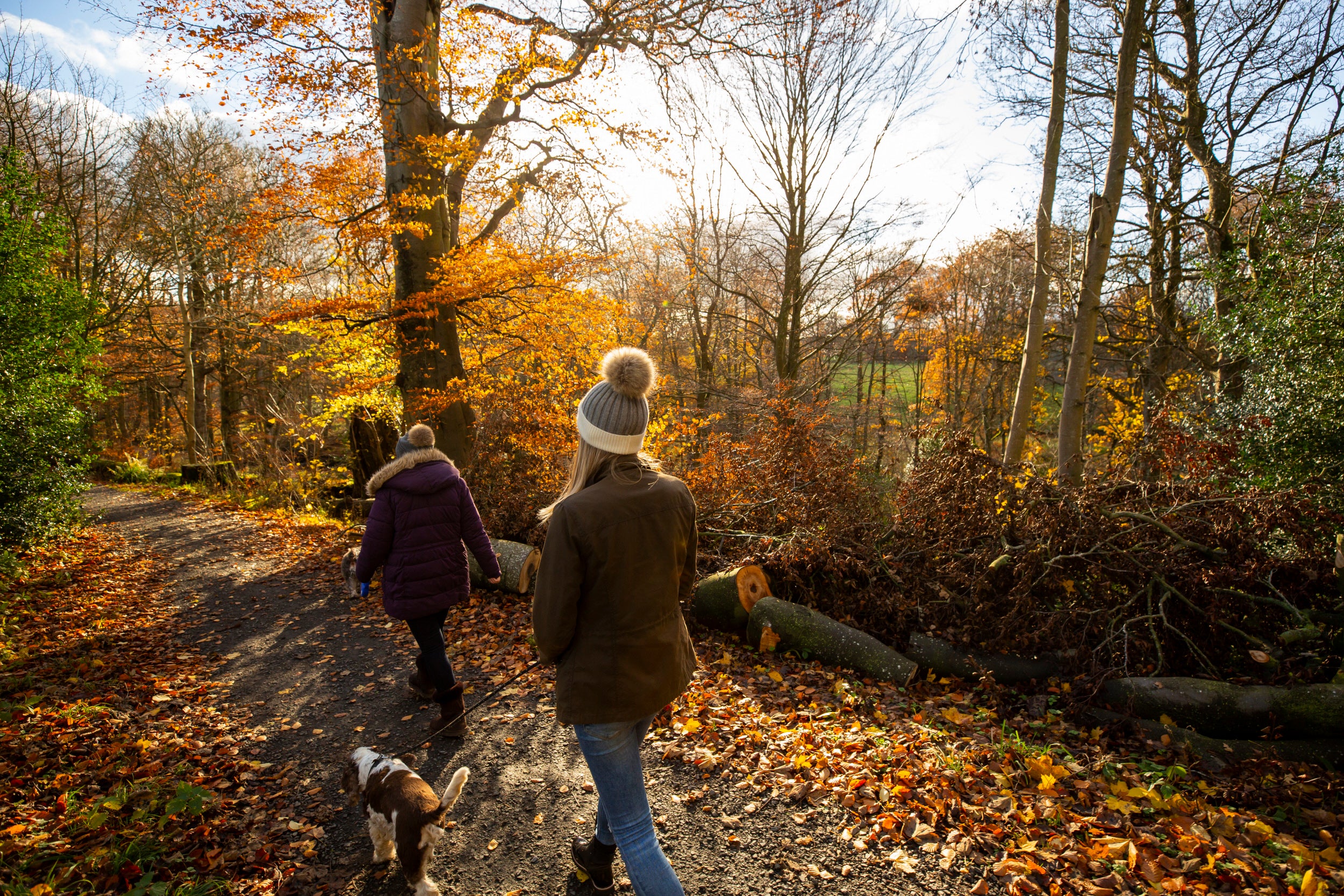 Two women and a dog walking along a path through trees full of orange, yellow and brown autumn leaves