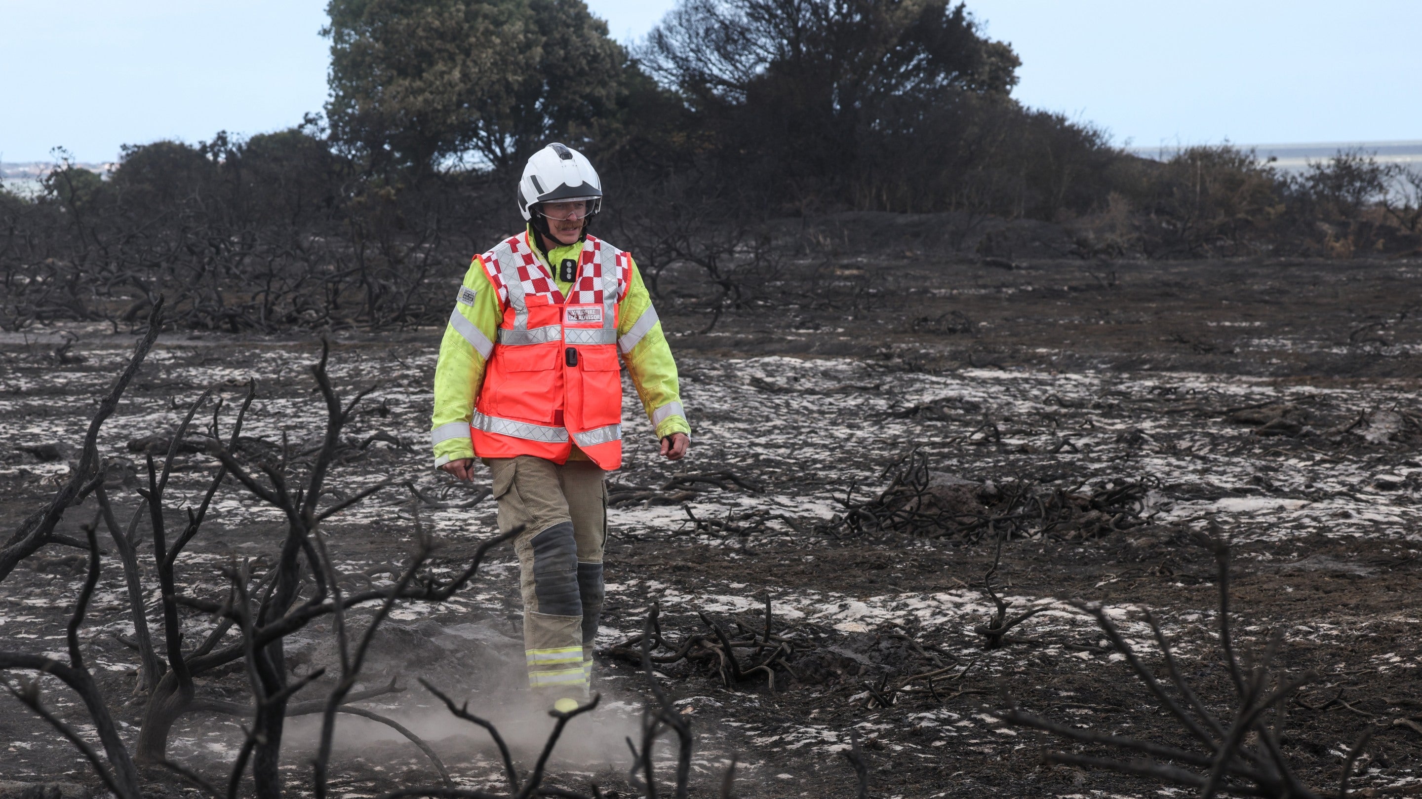 A firefighter looking at the damage caused by the fire on Dunwich Heath