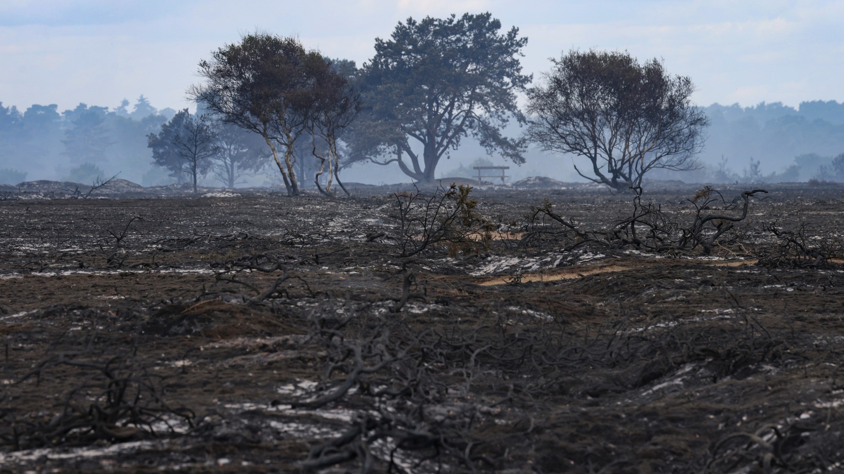 Dunwich Heath, Suffolk coast, after the fire July 2026