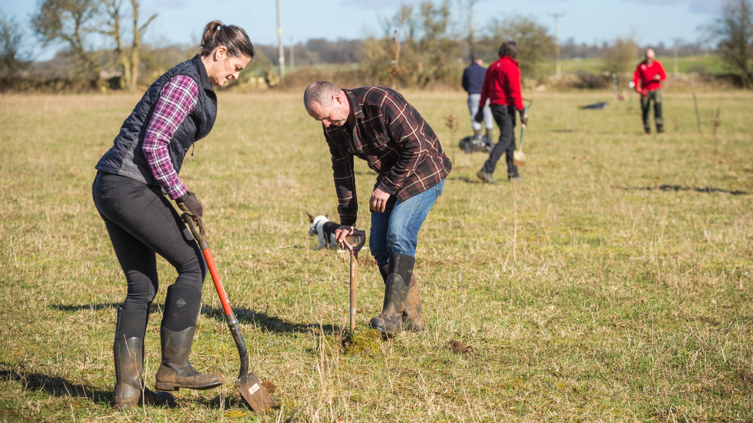 Tree planting on tenant farmland at Lodge Park, Gloucestershire