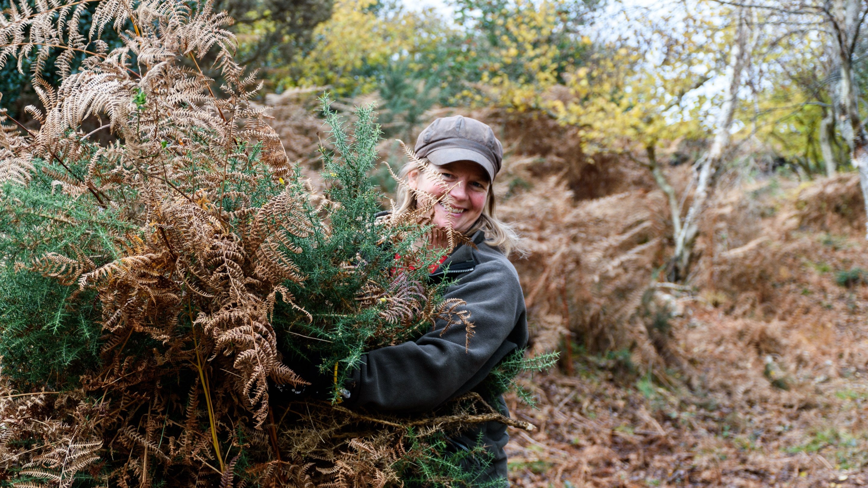 A volunteer clearing bracken in the woods at Studland Bay, Dorset