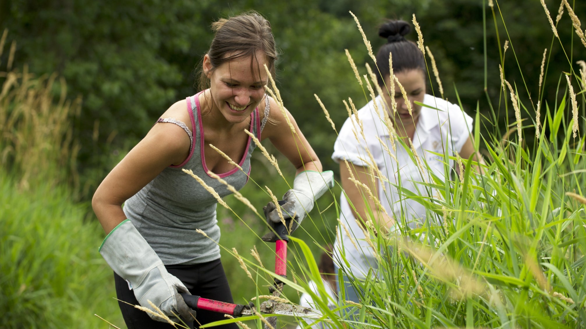 Two volunteers, one with garden shears, cutting back vegetation at Morden Hall Park in London