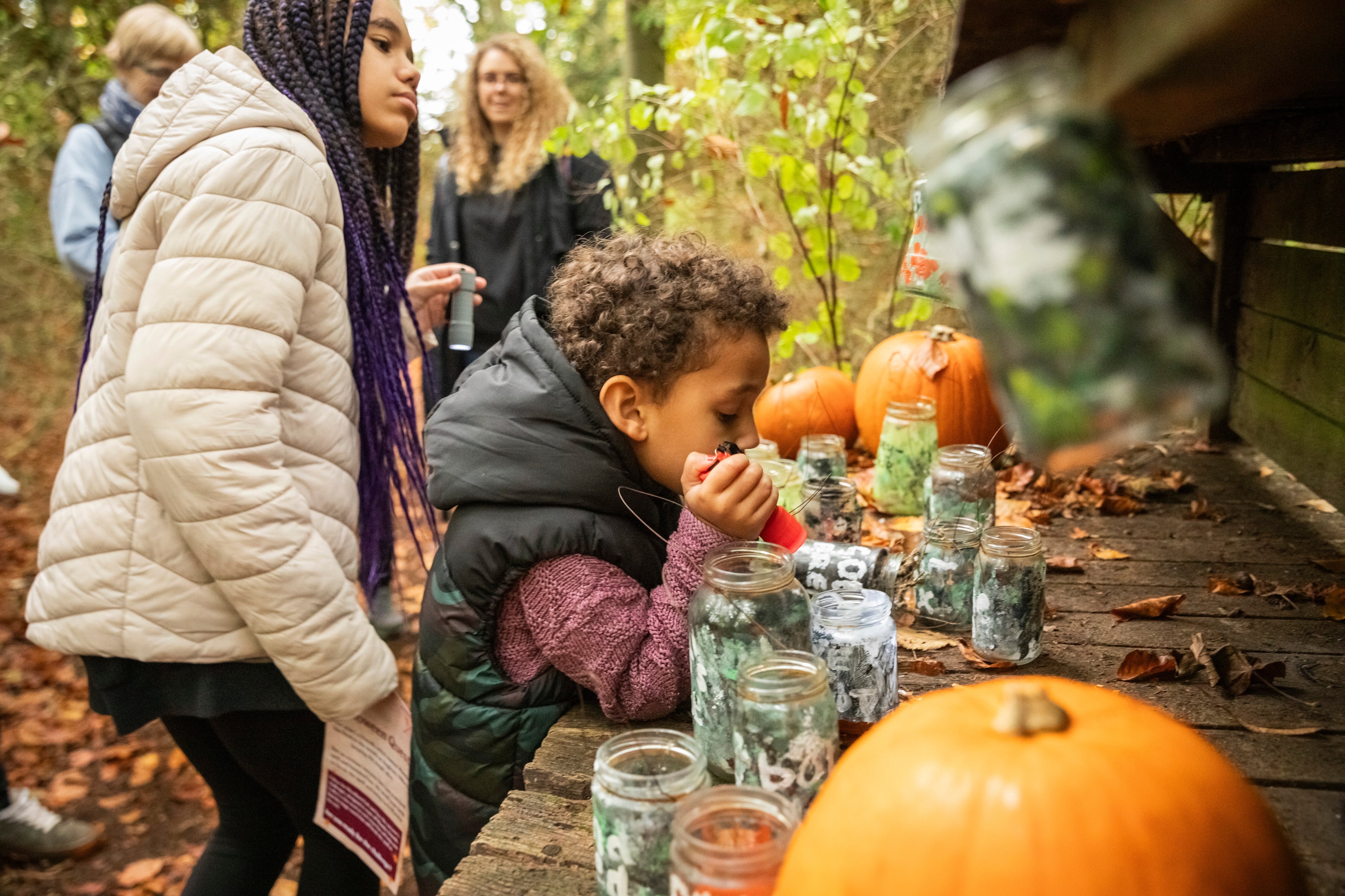 Visitors exploring a Halloween trail with pumpkins and decorated jars in woodland at Anglesey Abbey, Cambridgeshire.