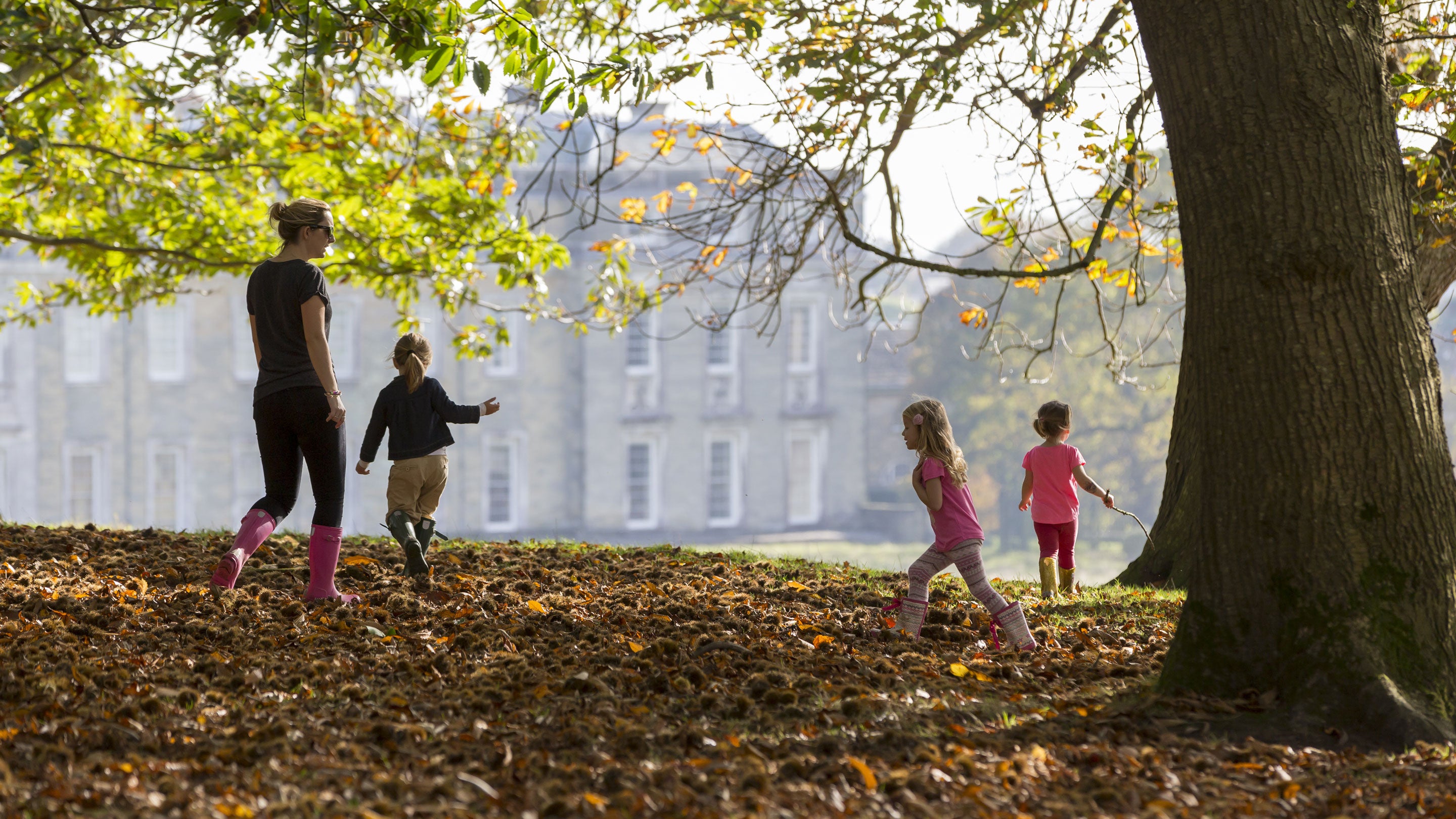 Visitors walking through autumn leaves in the parkland in October, Petworth House and Park, West Sussex