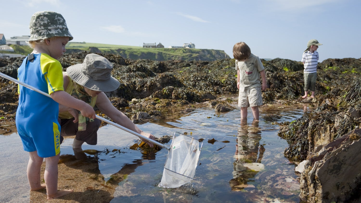 Three small children under the age of five are ankle deep in a wide rockpool. The one on the left wears a bright blue and yellow wetsuit and is carrying a net on a stick. The child is being helped by a parent figure who is crouched down examining the finds shallow water. In the distance there are buildings perched on top of jagged cliffs.