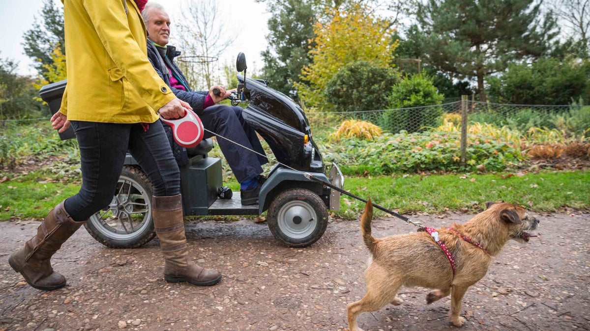 Dog walking at Dudmaston Shropshire National Trust