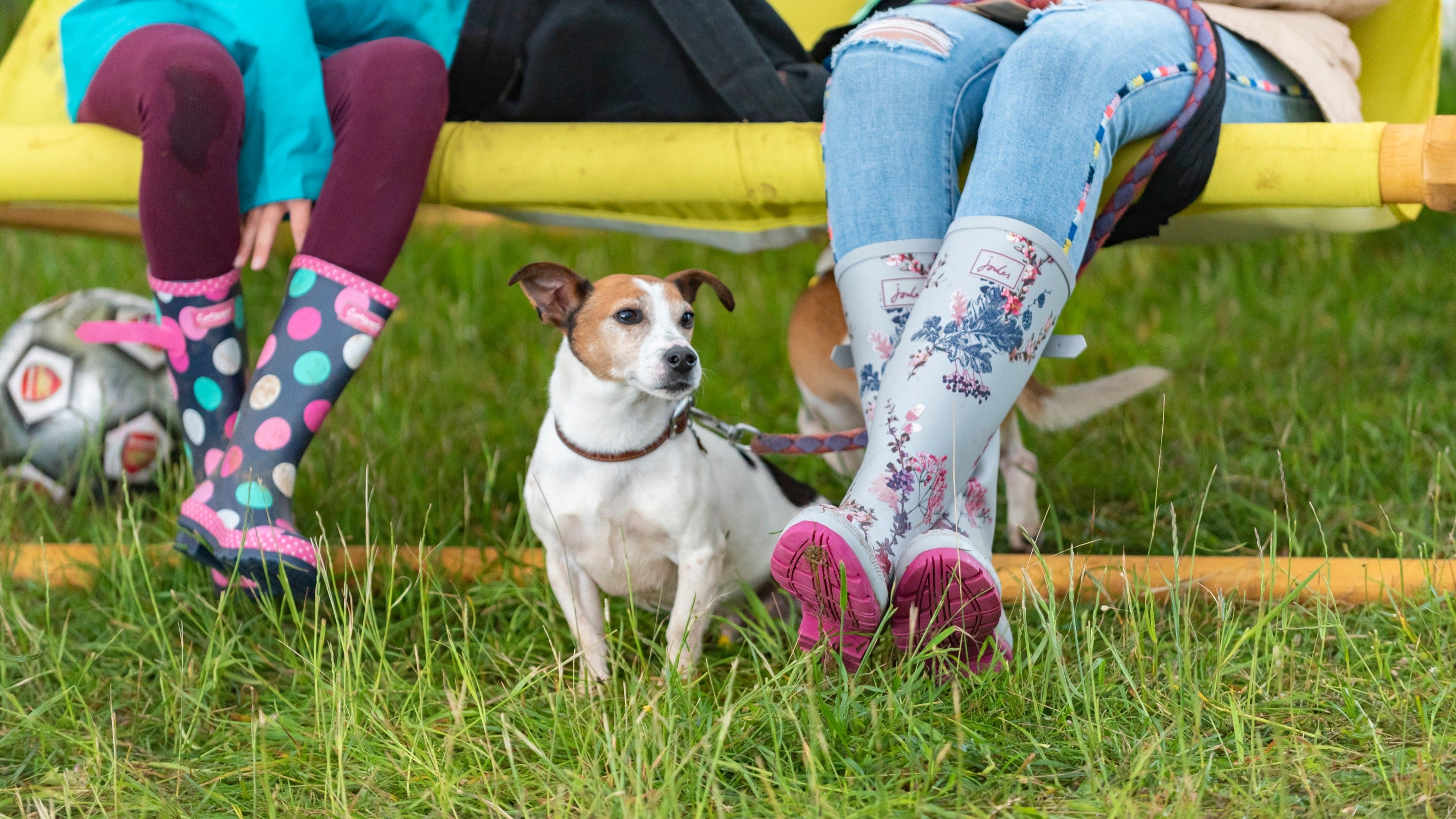 A dog sits patiently by his owners who are sat on a big yellow bench at the Top of the Gorge Festival 2019 at Cheddar Gorge, Somerset