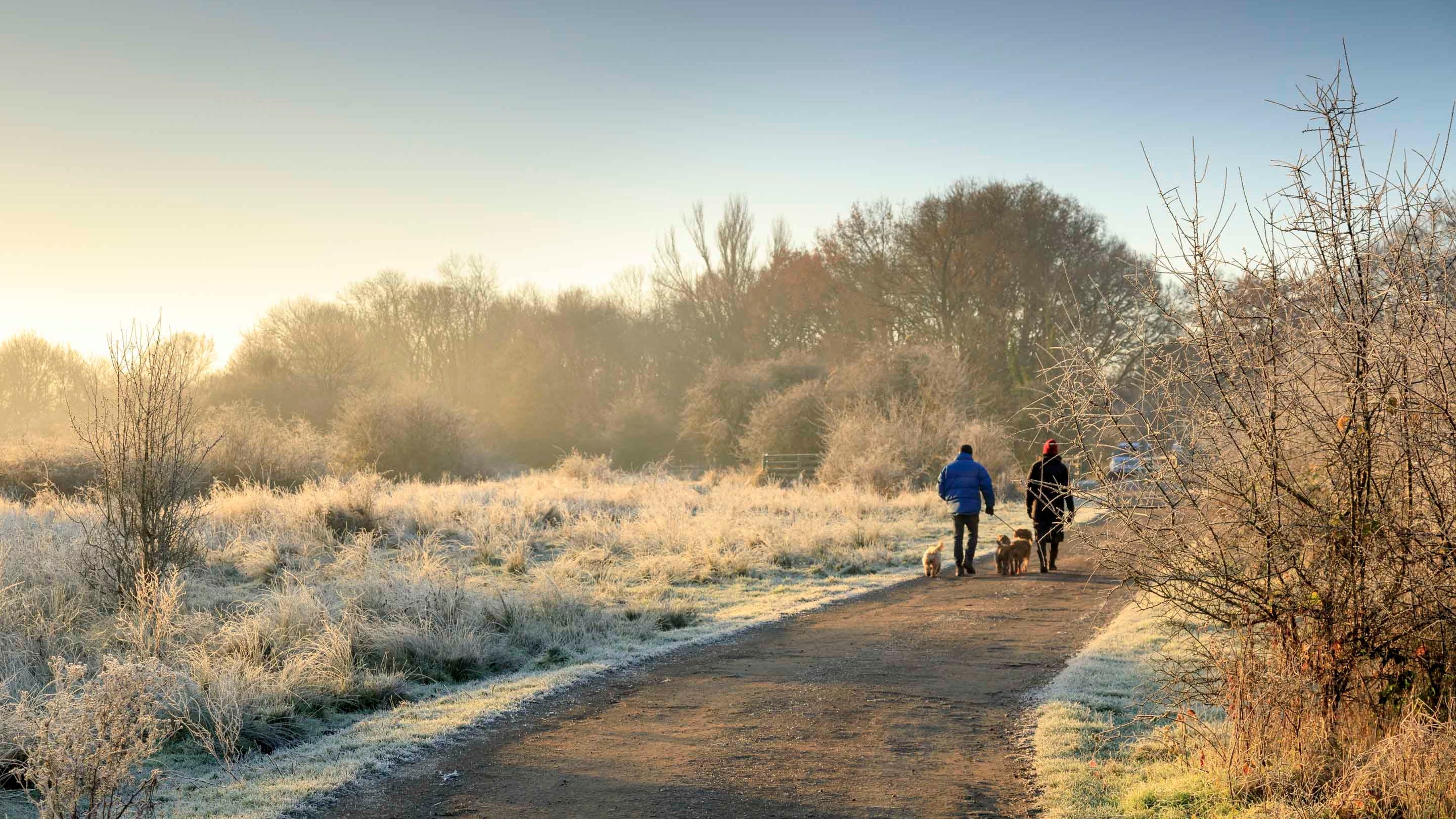 A couple walking their dog in the frosty winter landscape at Bookham Commons in Surrey