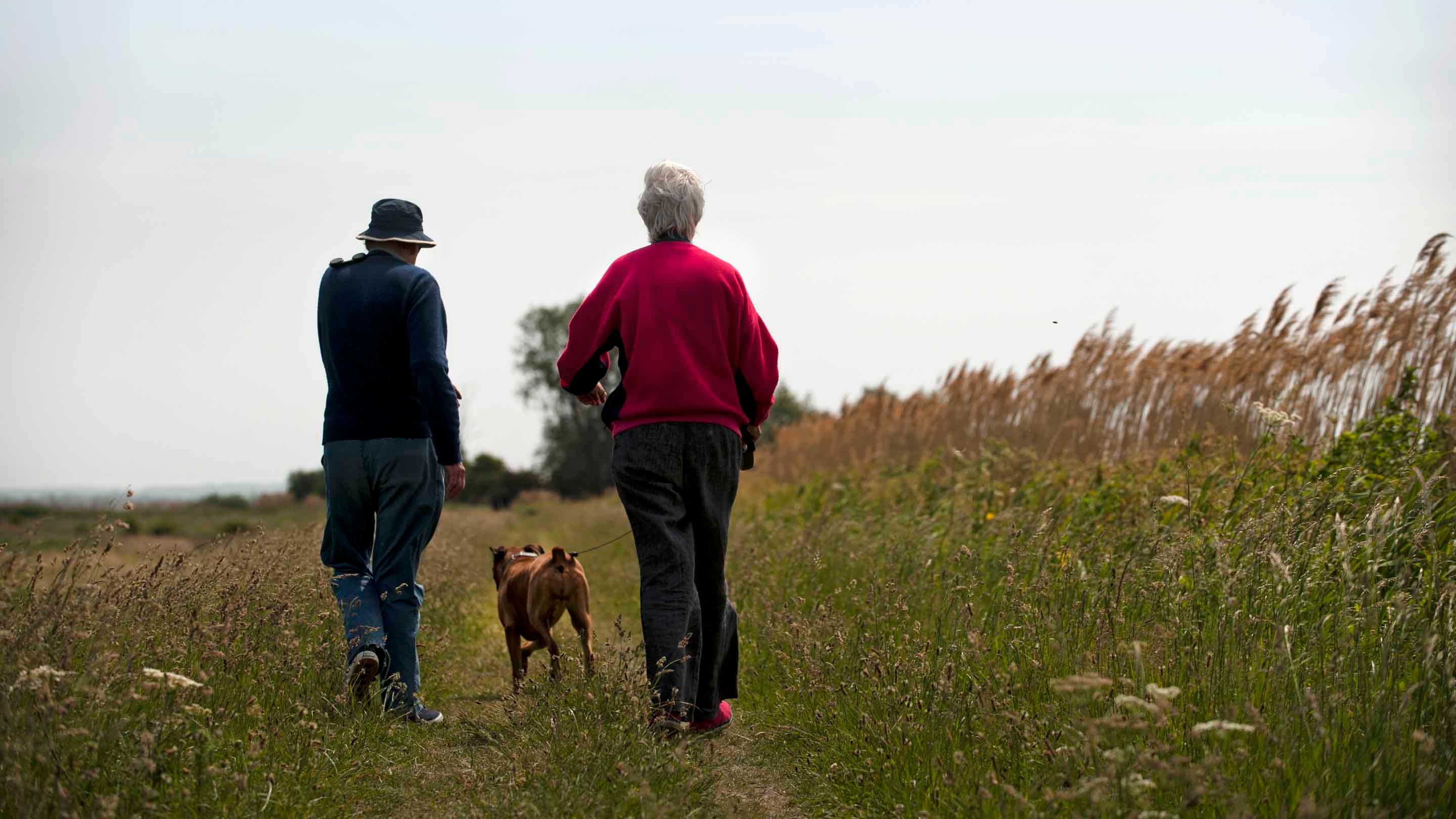 Dog walkers at Wicken Fen National Nature Reserve in Cambridgeshire