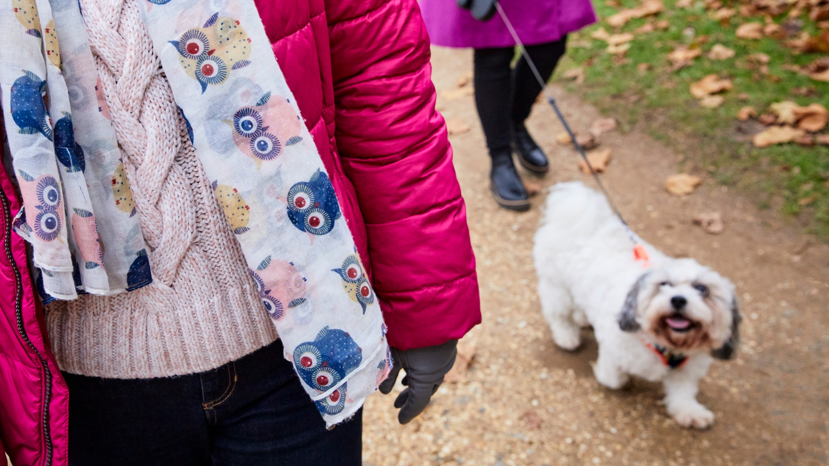 Visitors walking a white dog at Stowe, Buckinghamshire