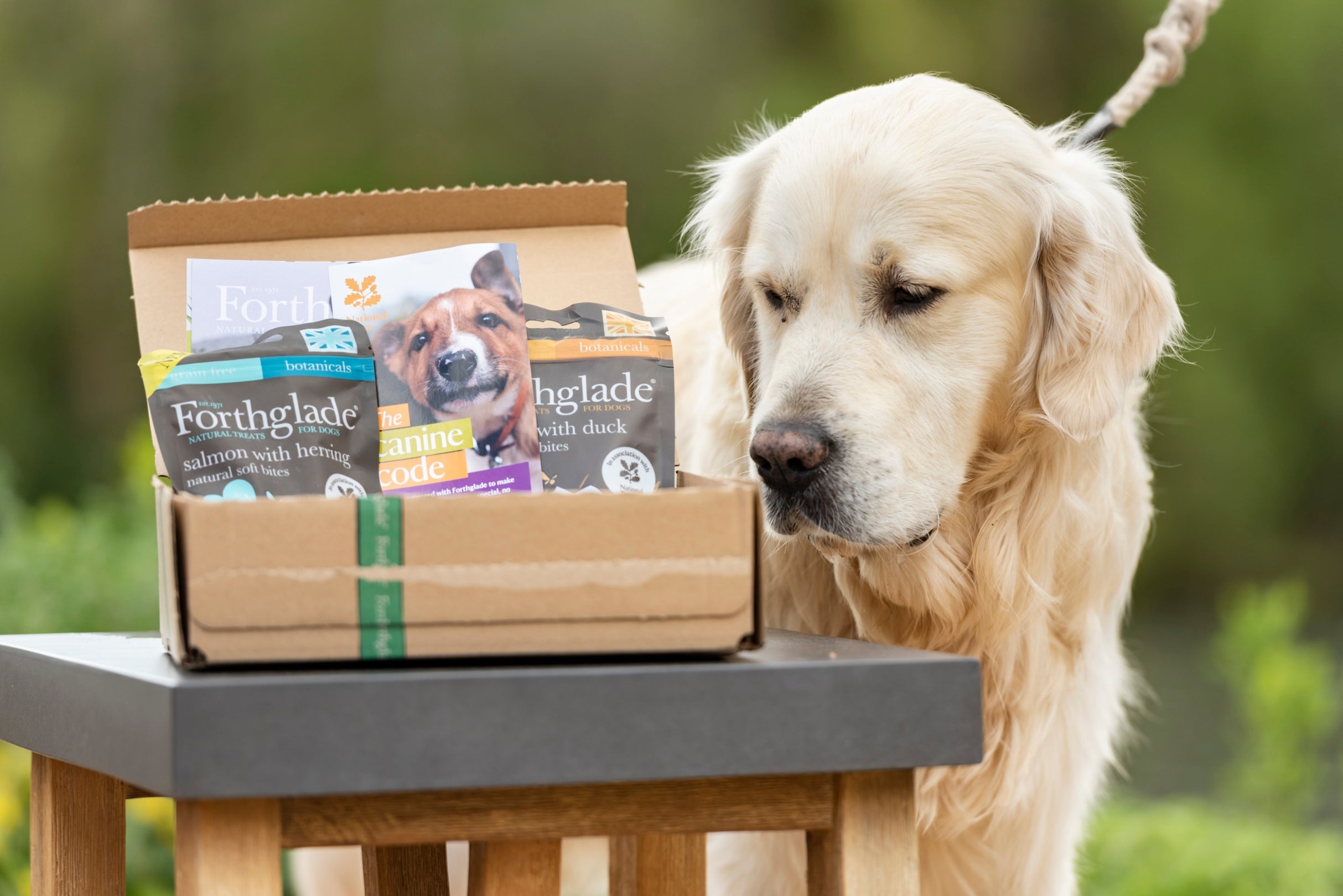 Dog with Forthglade treats