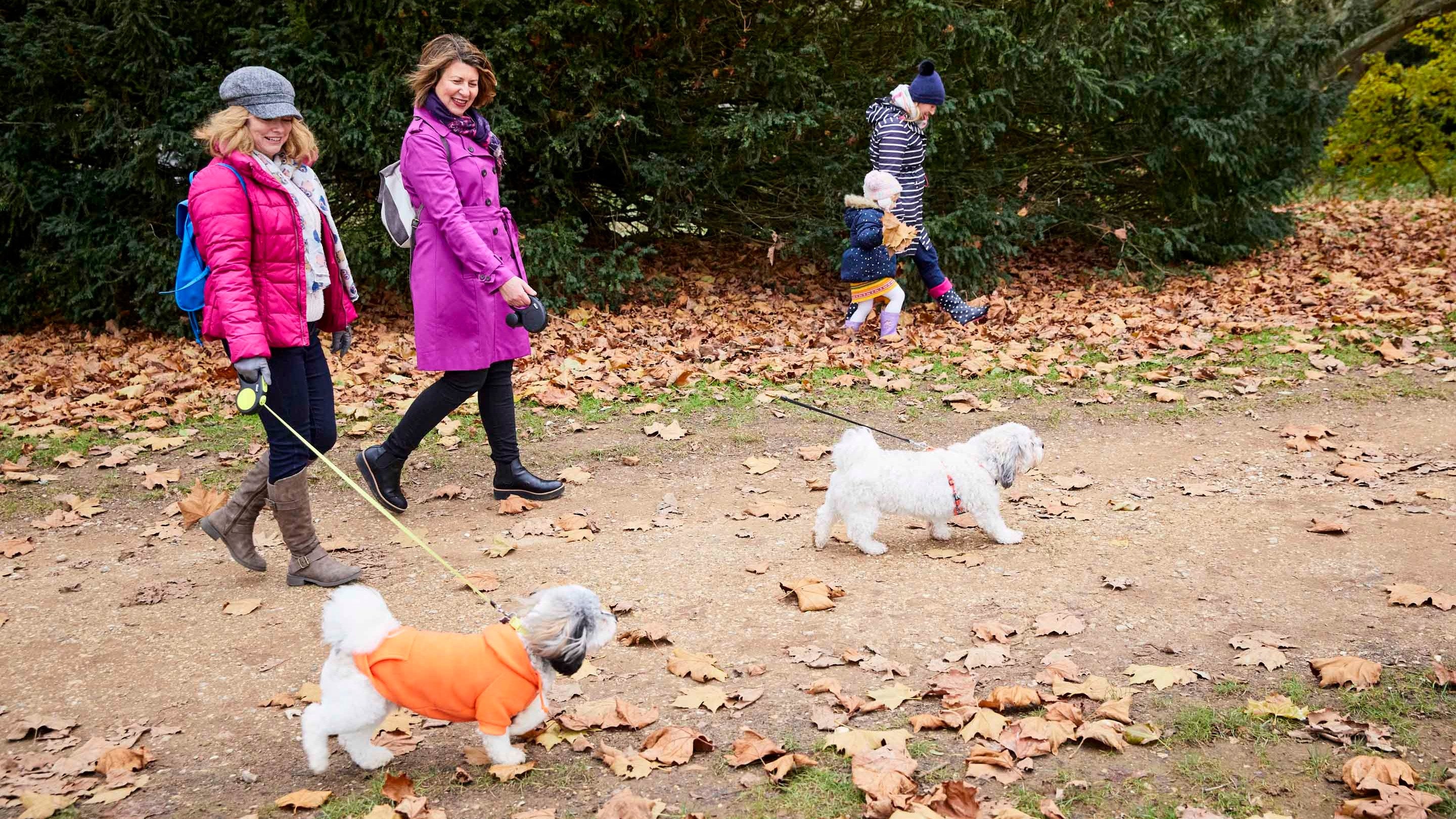 Women walking dogs on a path amid fallen autumn leaves